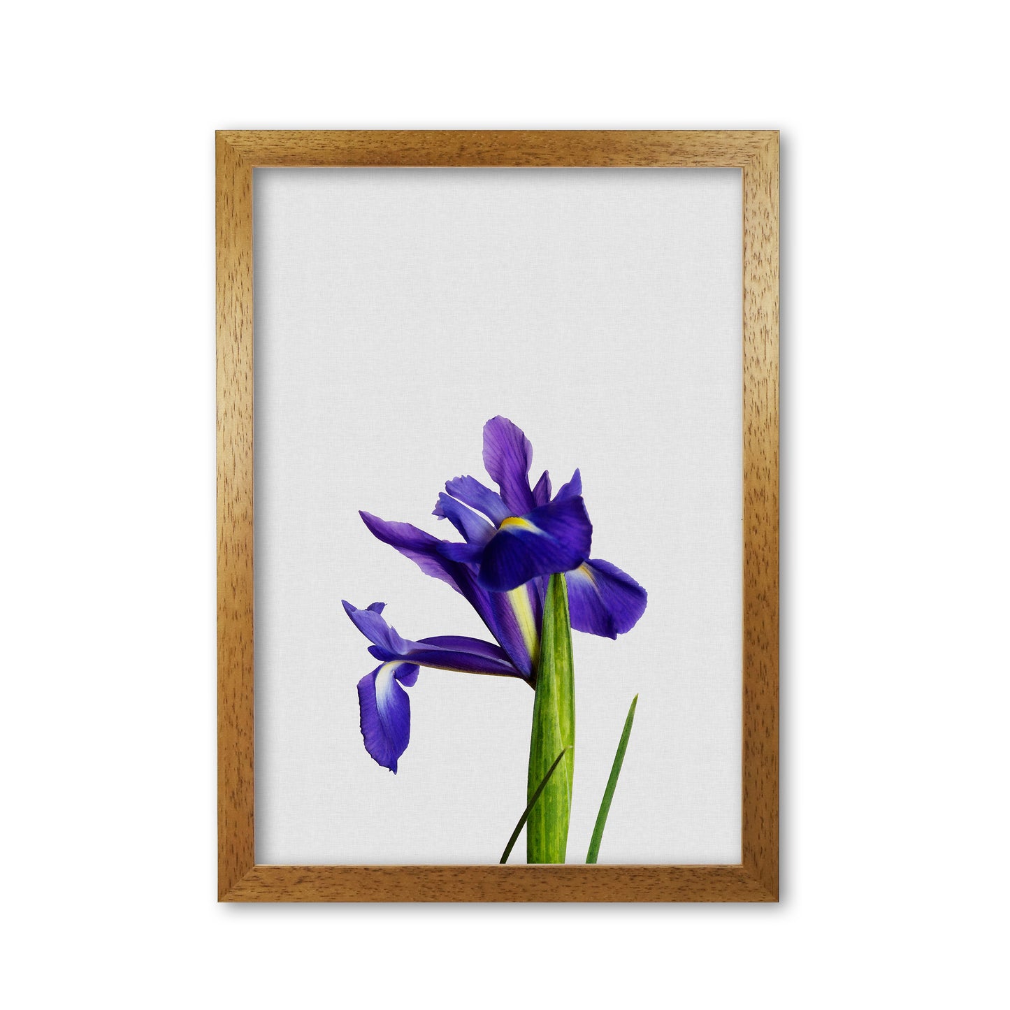 Iris Still Life Print By Orara Studio, Framed Botanical & Nature Art Print Oak Grain