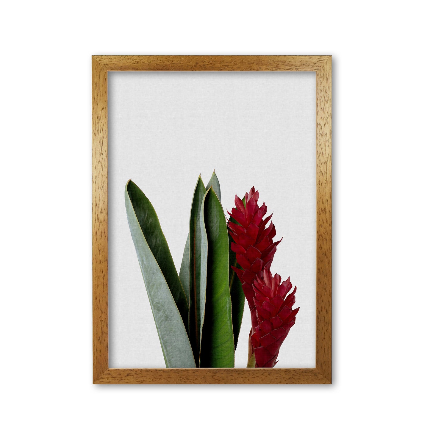 Red Flower Print By Orara Studio, Framed Botanical & Nature Art Print Oak Grain
