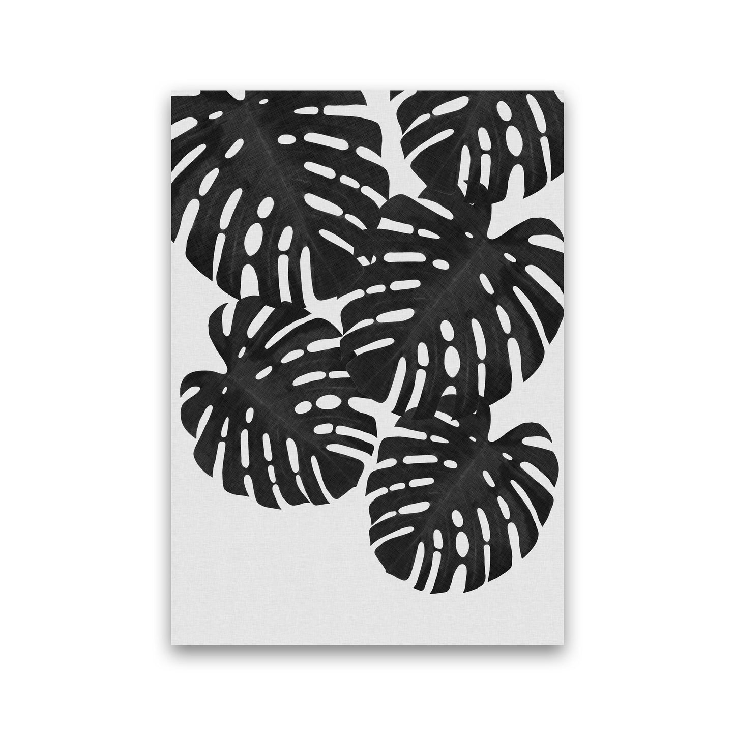 Monstera Black & White I Print By Orara Studio Print Only