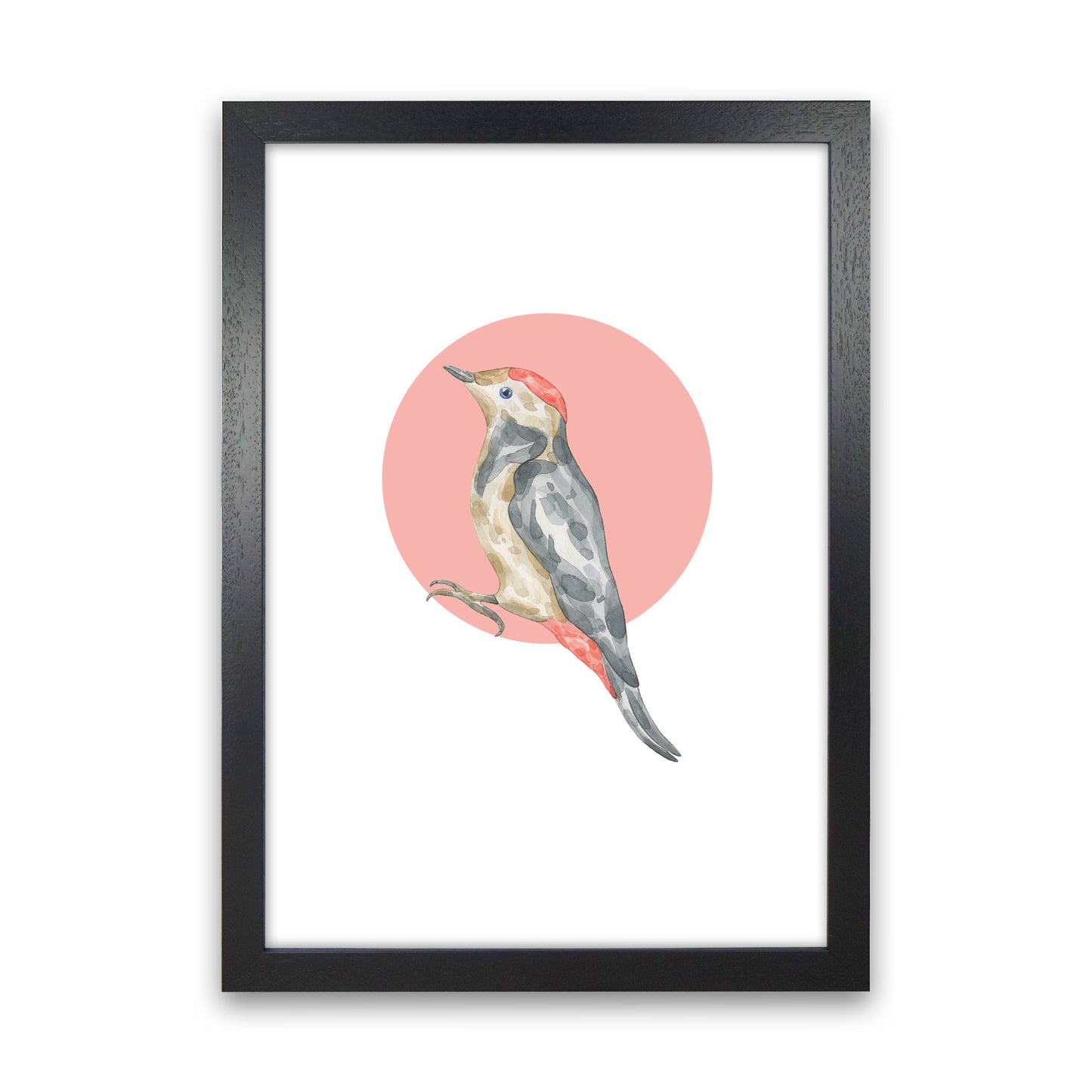 Watercolour Bird With Red Circle Modern Print Animal Art Print Black Grain