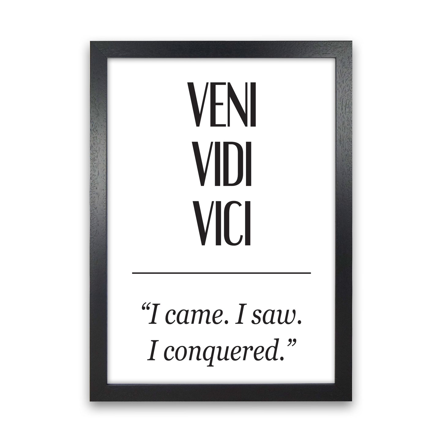 Veni Vidi Vici Modern Print Black Grain