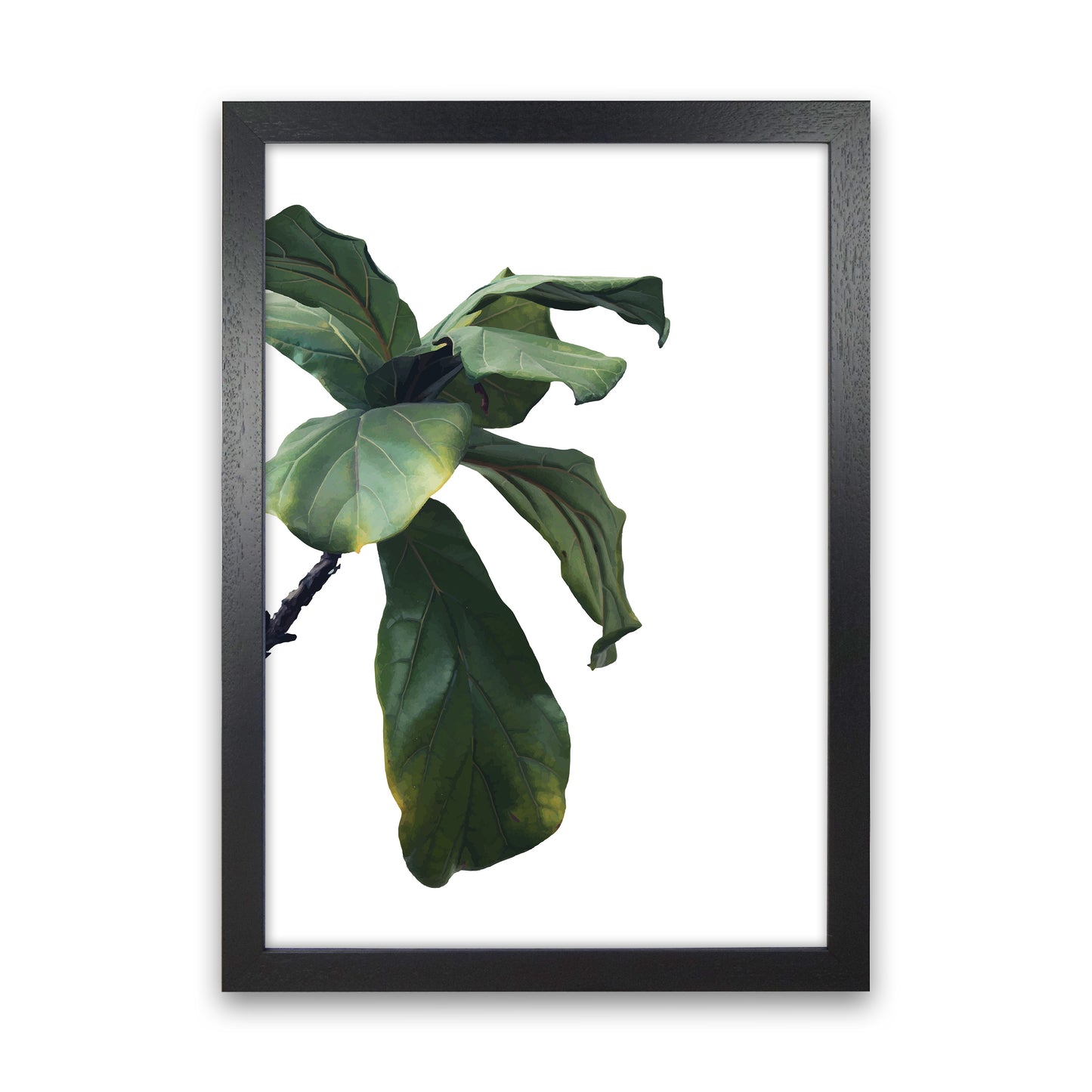 Plant Head Part One Art Print by Pixy Paper Black Grain