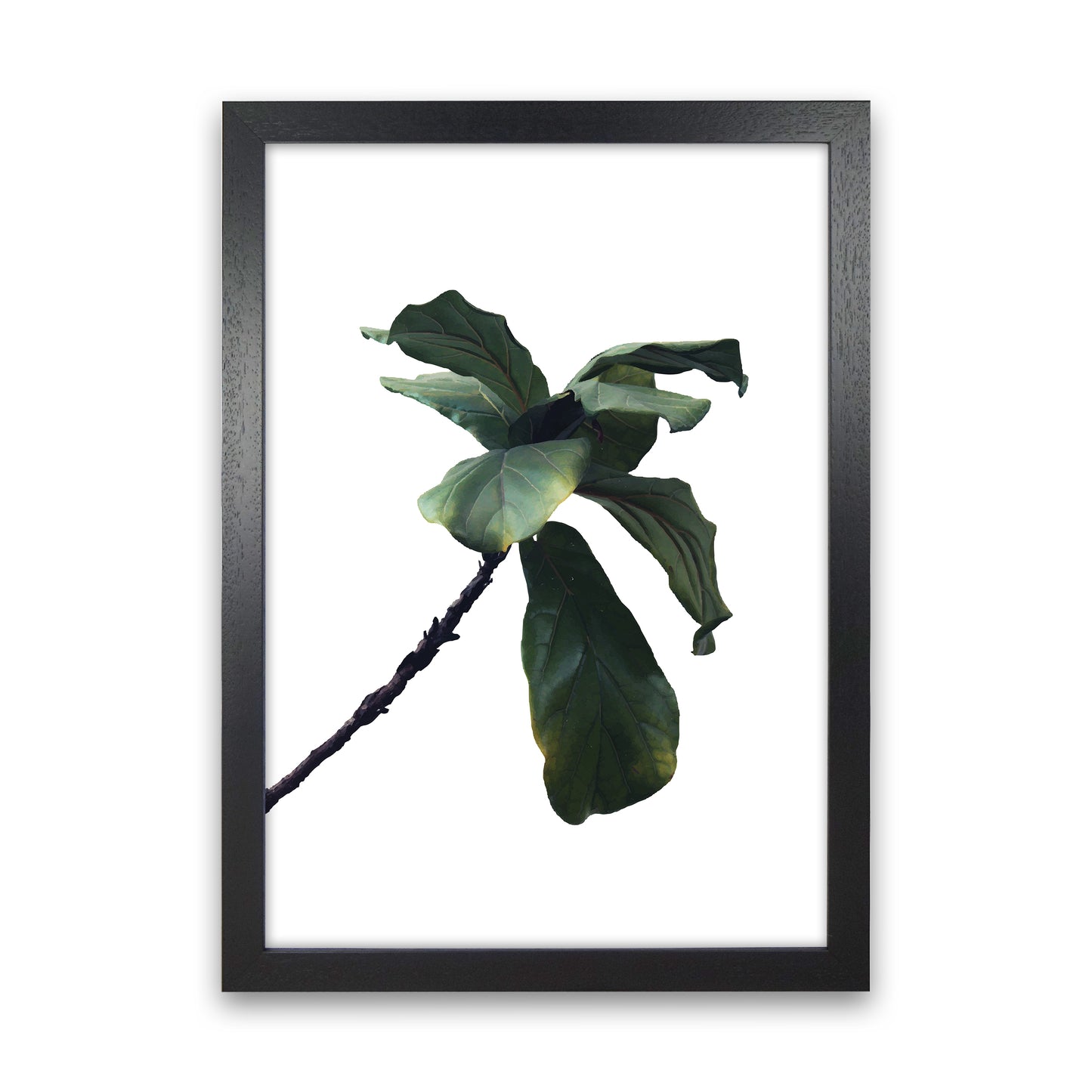Plant Head Part Two Art Print by Pixy Paper Black Grain