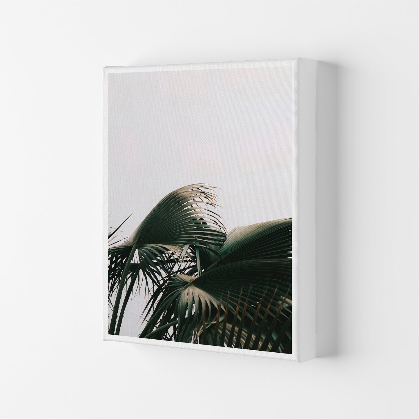 Bushy Palm Leaves Modern Print, Framed Botanical & Nature Art Print Canvas