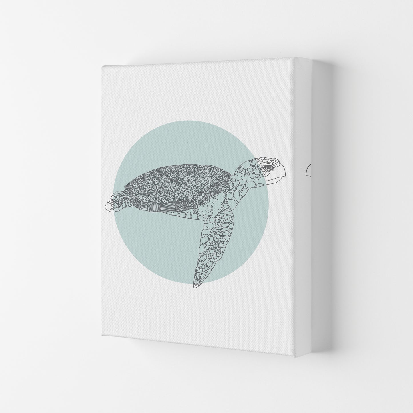 Marine Animals Turtle Modern Print Animal Art Print Canvas