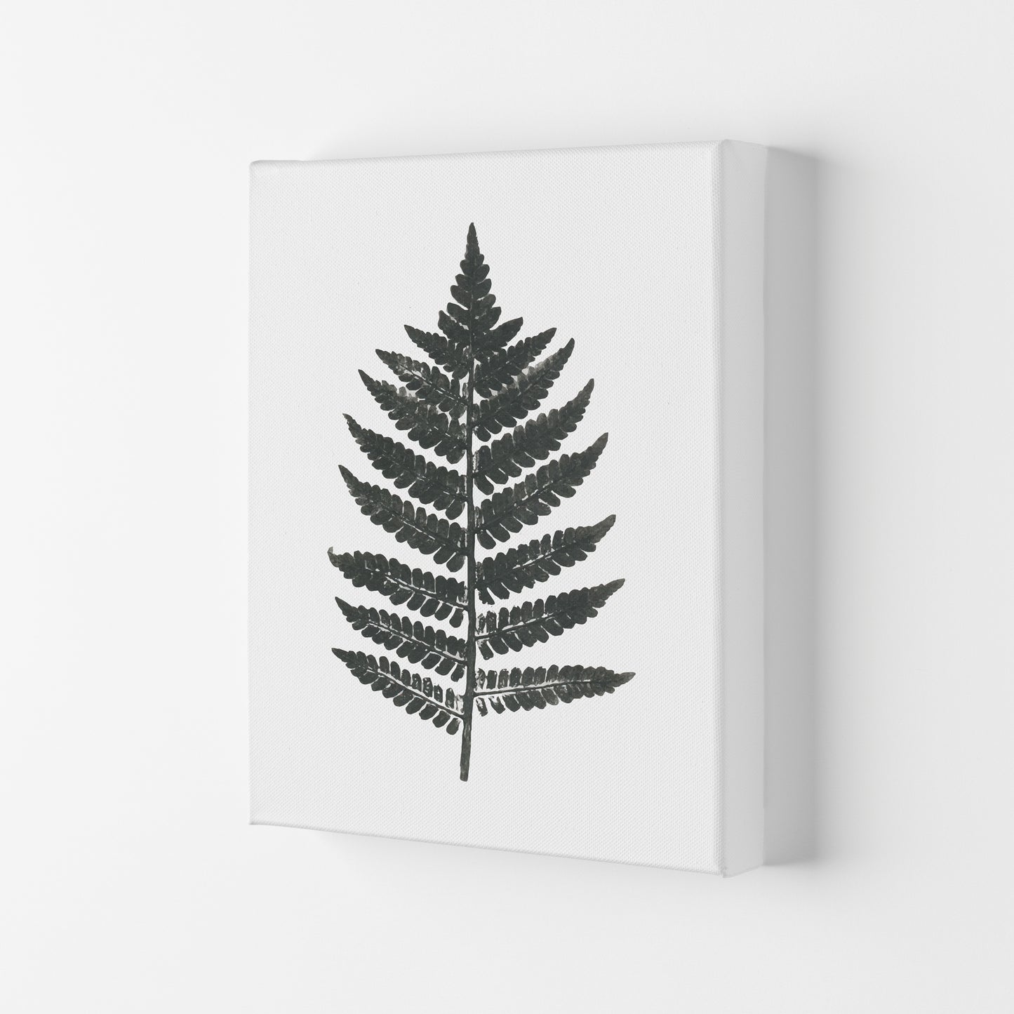 Vintage Fern Modern Print, Framed Botanical & Nature Art Print Canvas