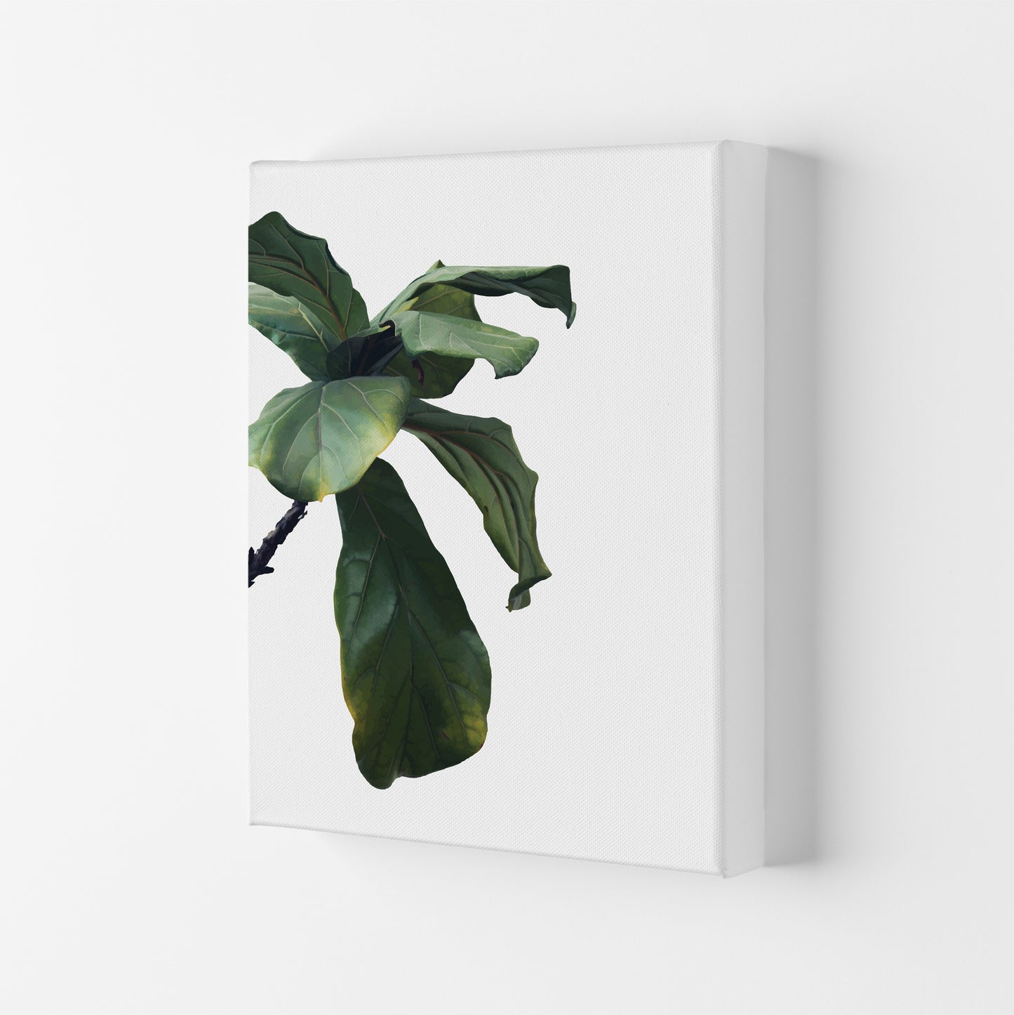 Plant Head Part One Art Print by Pixy Paper Canvas