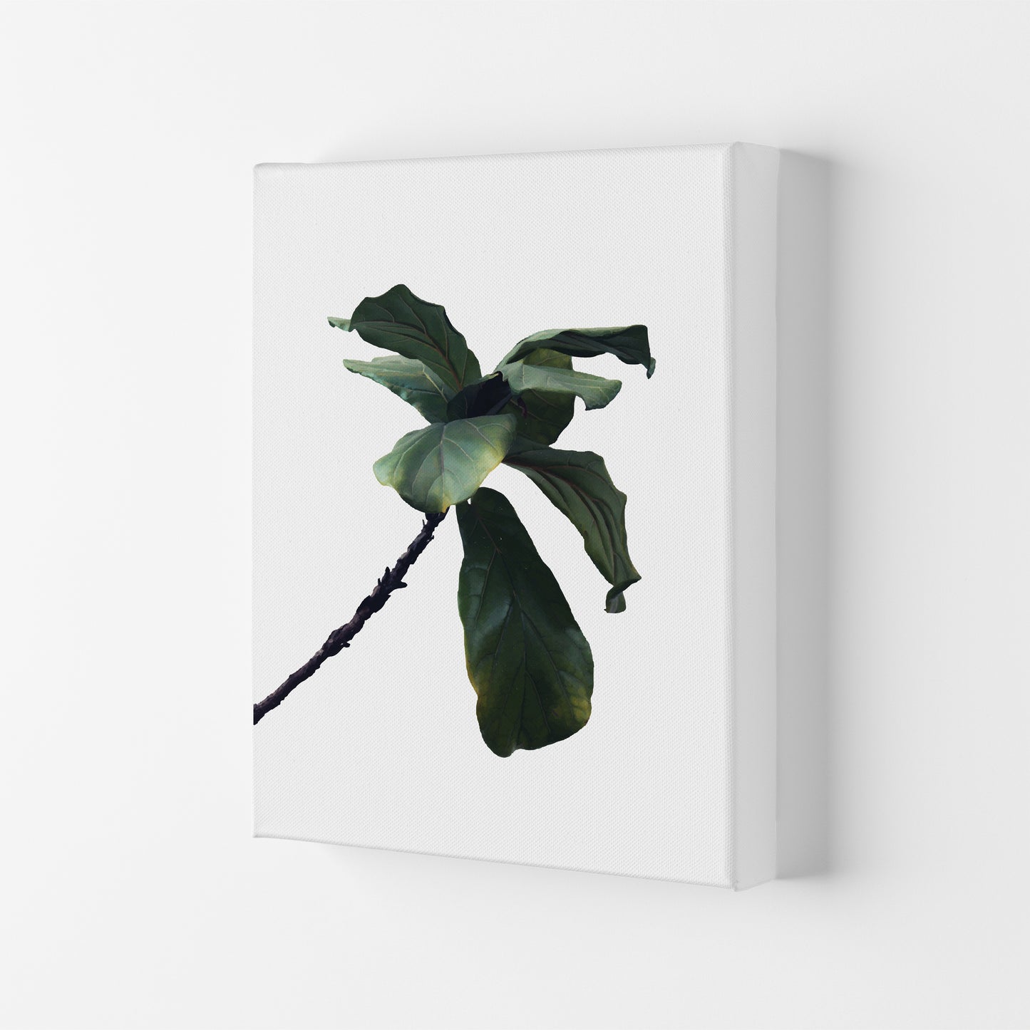 Plant Head Part Two Art Print by Pixy Paper Canvas