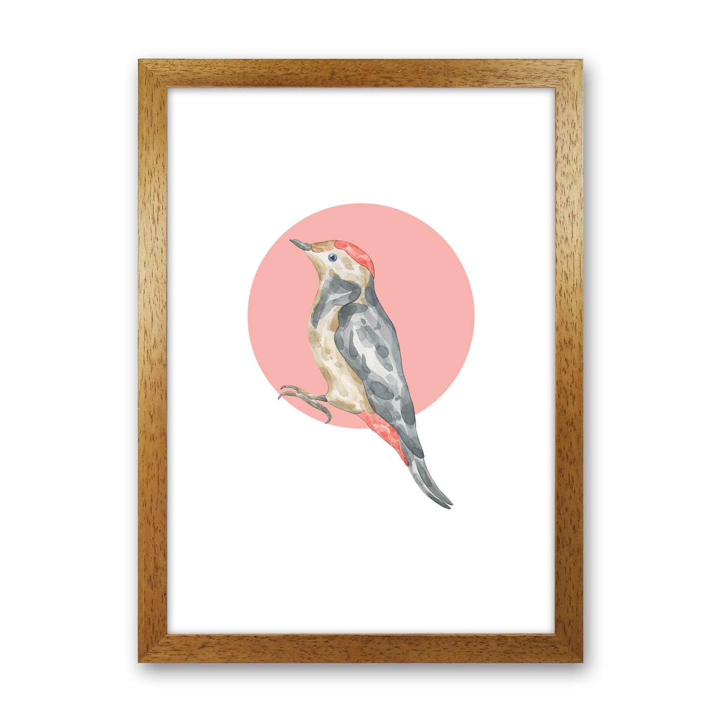 Watercolour Bird With Red Circle Modern Print Animal Art Print Oak Grain