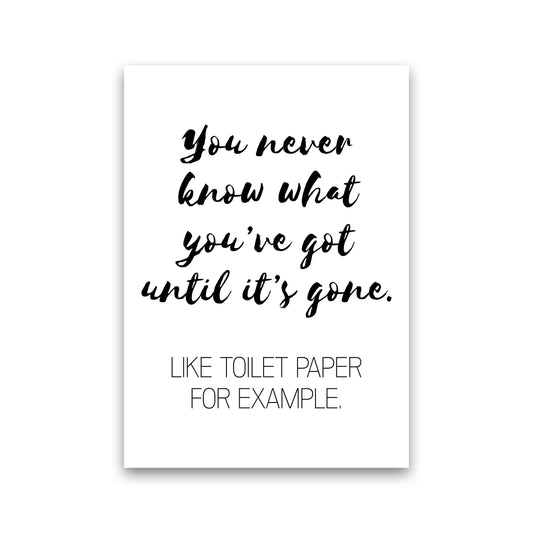 Toilet Paper, Bathroom Modern Print, Framed Bathroom Wall Art Print Only
