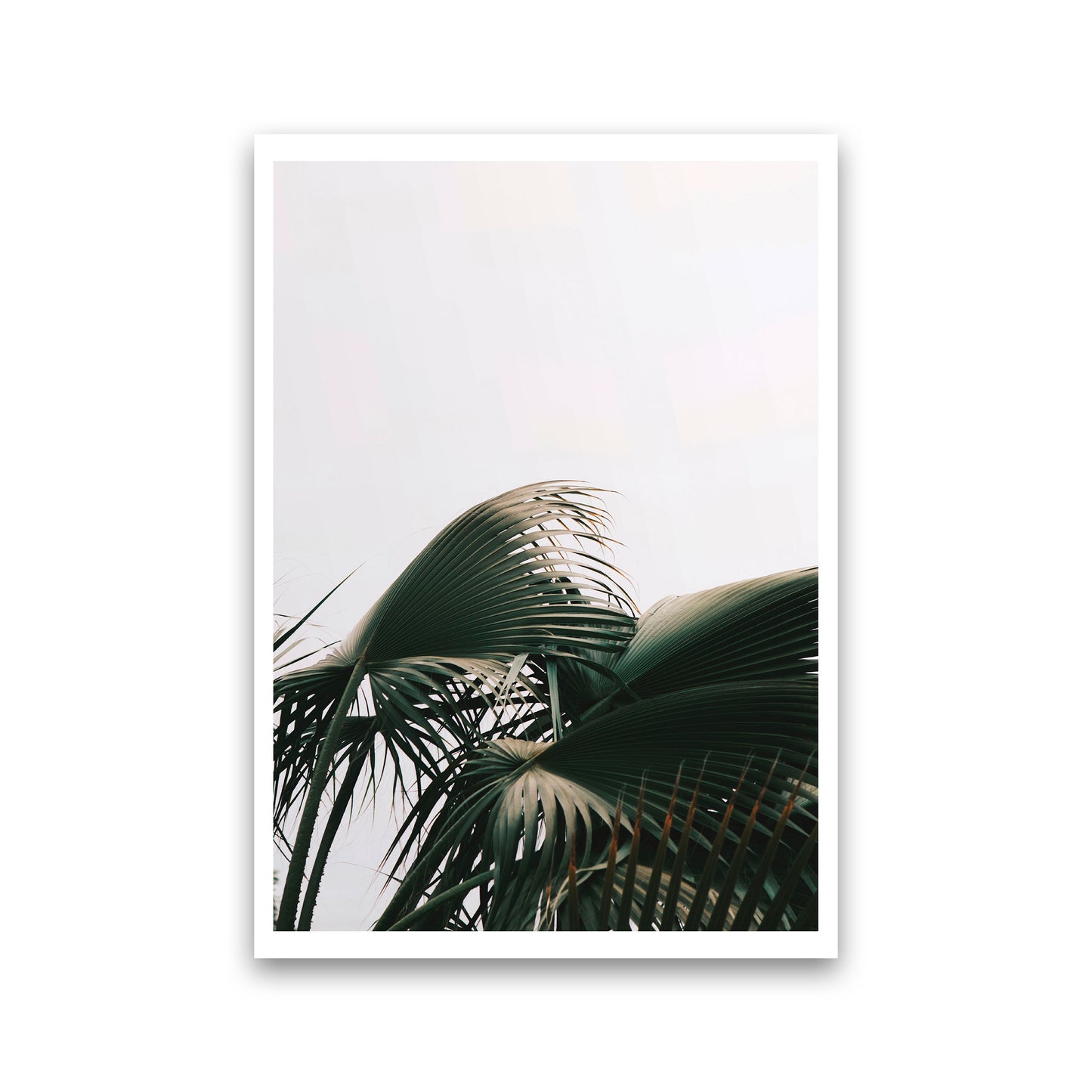 Bushy Palm Leaves Modern Print, Framed Botanical & Nature Art Print Print Only