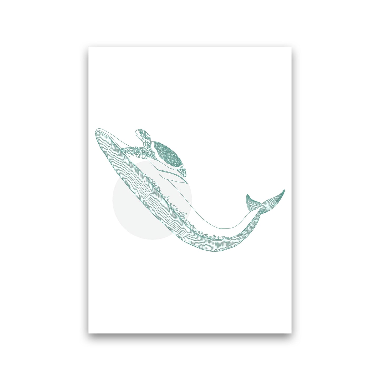 Marine Animals Whale And Turtle Modern Print Animal Art Print Print Only
