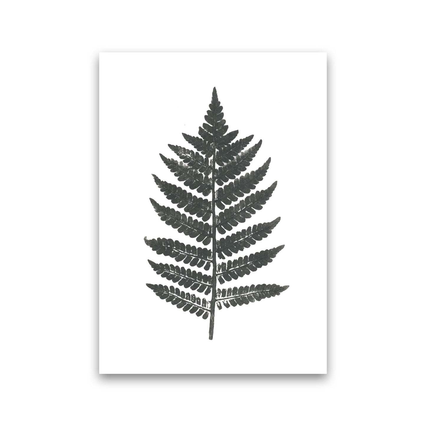 Vintage Fern Modern Print, Framed Botanical & Nature Art Print Print Only