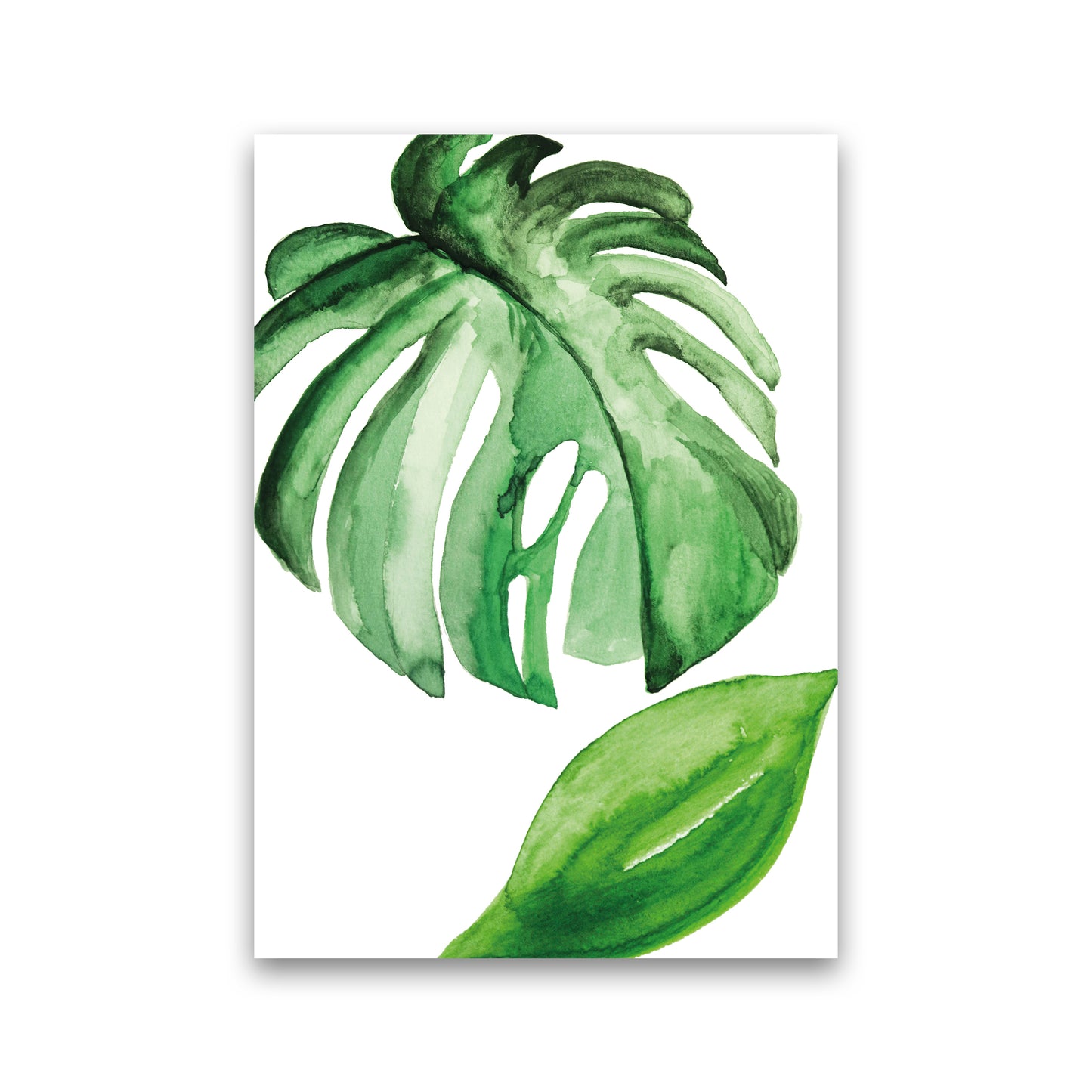Large Leaf Exotic Art Print by Pixy Paper Print Only