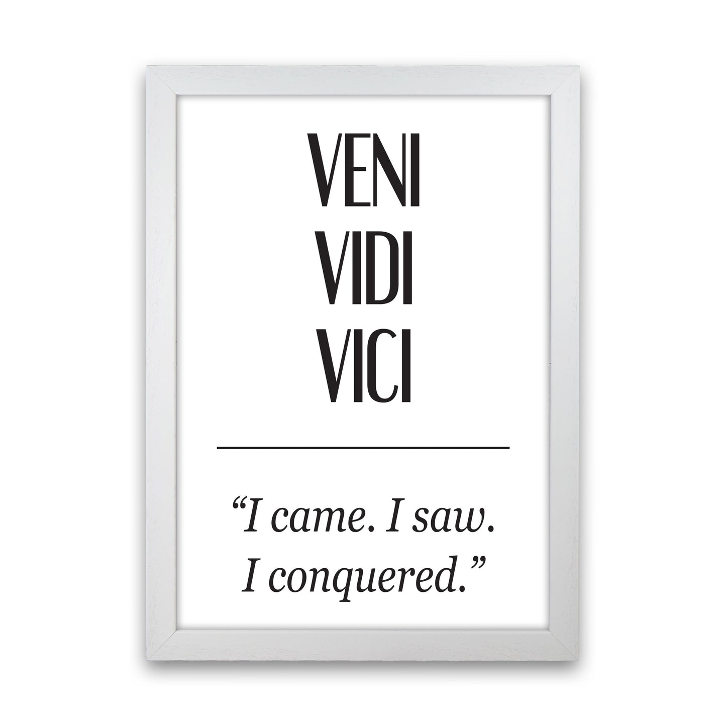 Veni Vidi Vici Modern Print White Grain