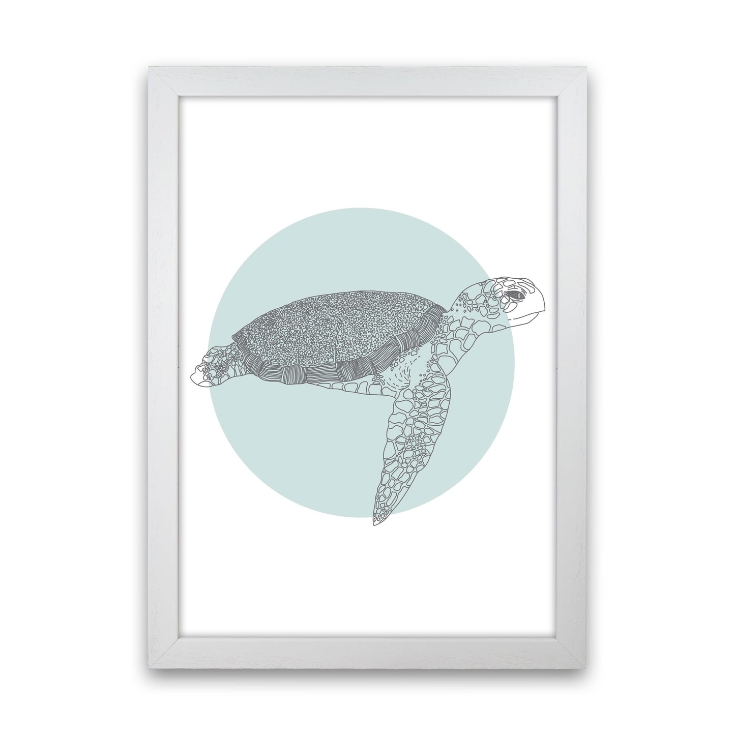 Marine Animals Turtle Modern Print Animal Art Print White Grain