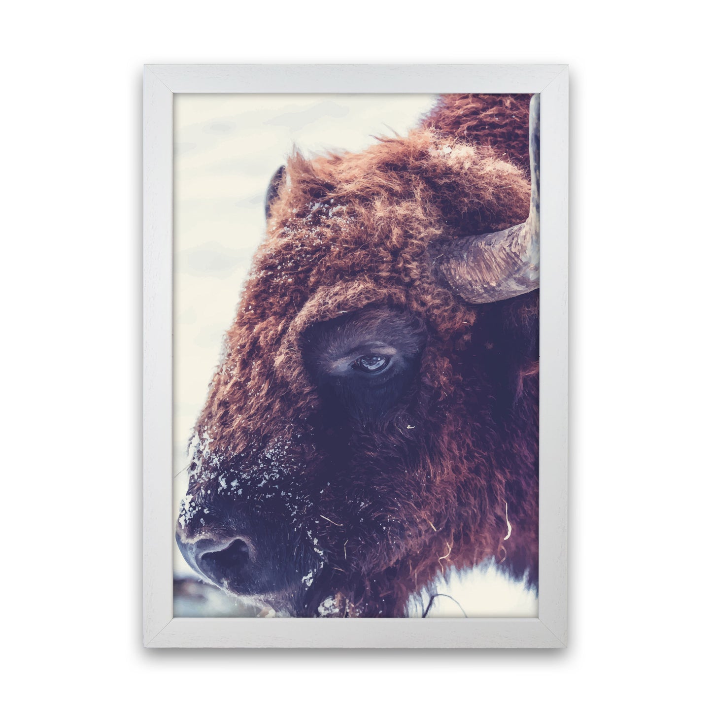 Bull Modern Print Animal Art Print White Grain