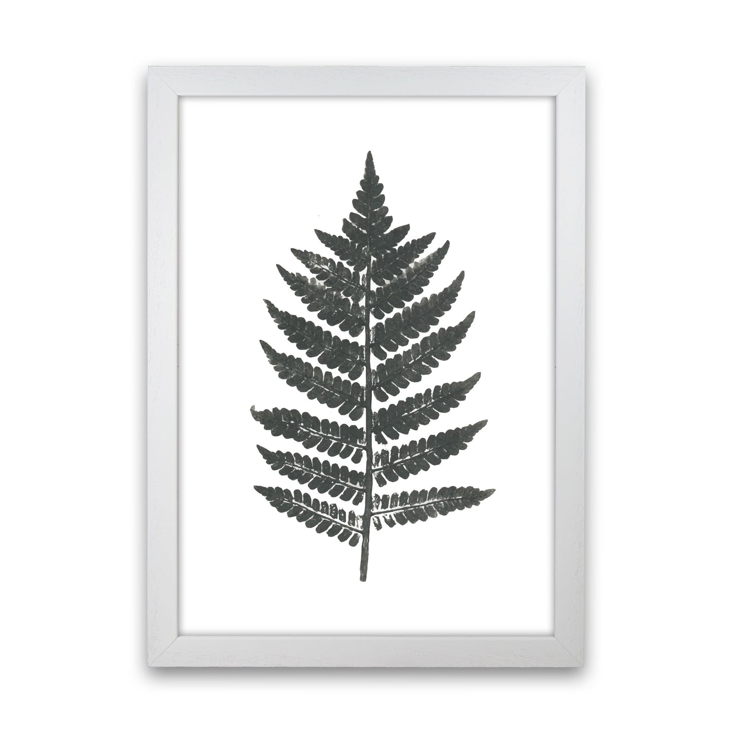 Vintage Fern Modern Print, Framed Botanical & Nature Art Print White Grain