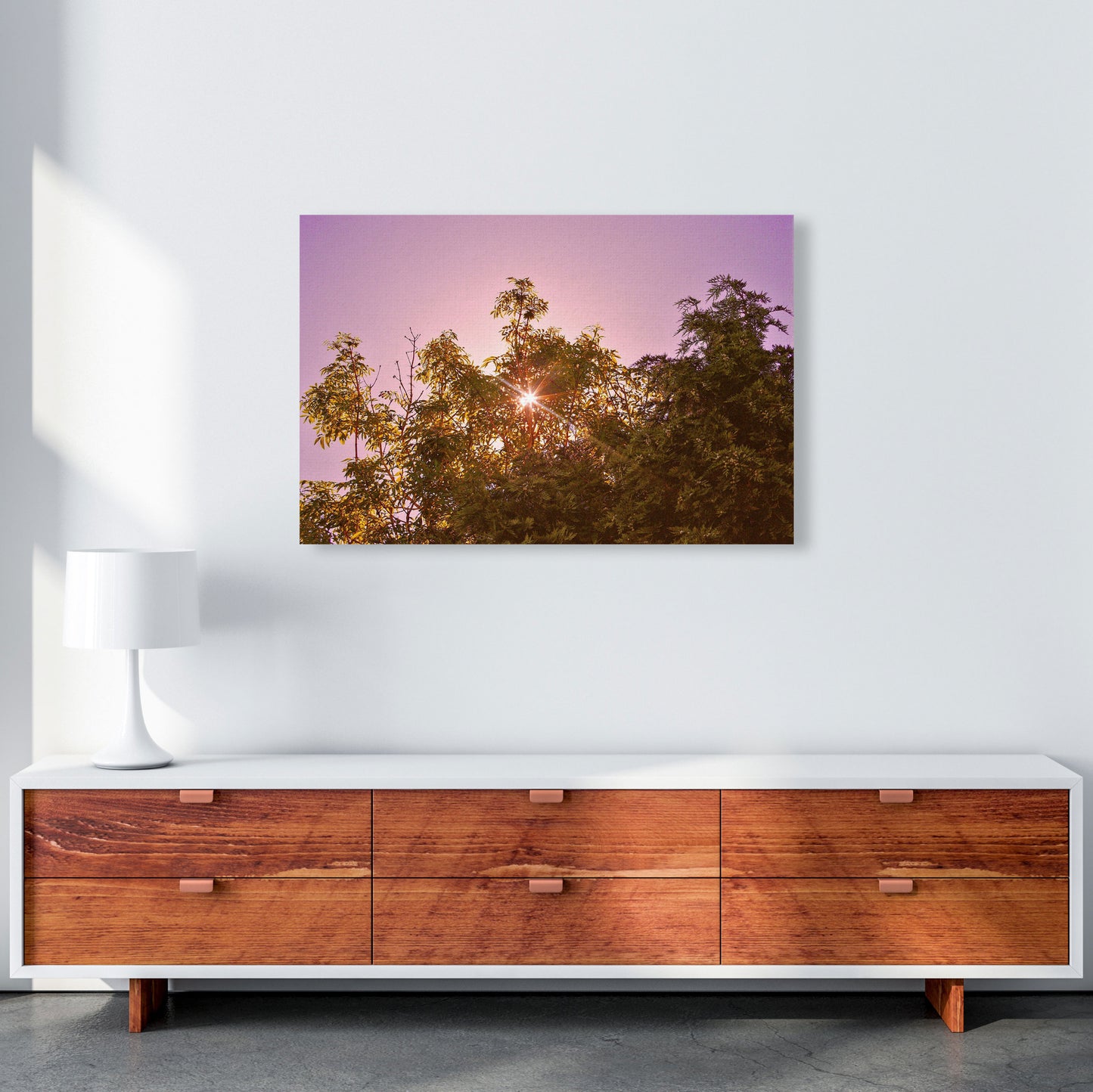 Blush Sunrise Art Print by Proper Job Studio A1 Canvas