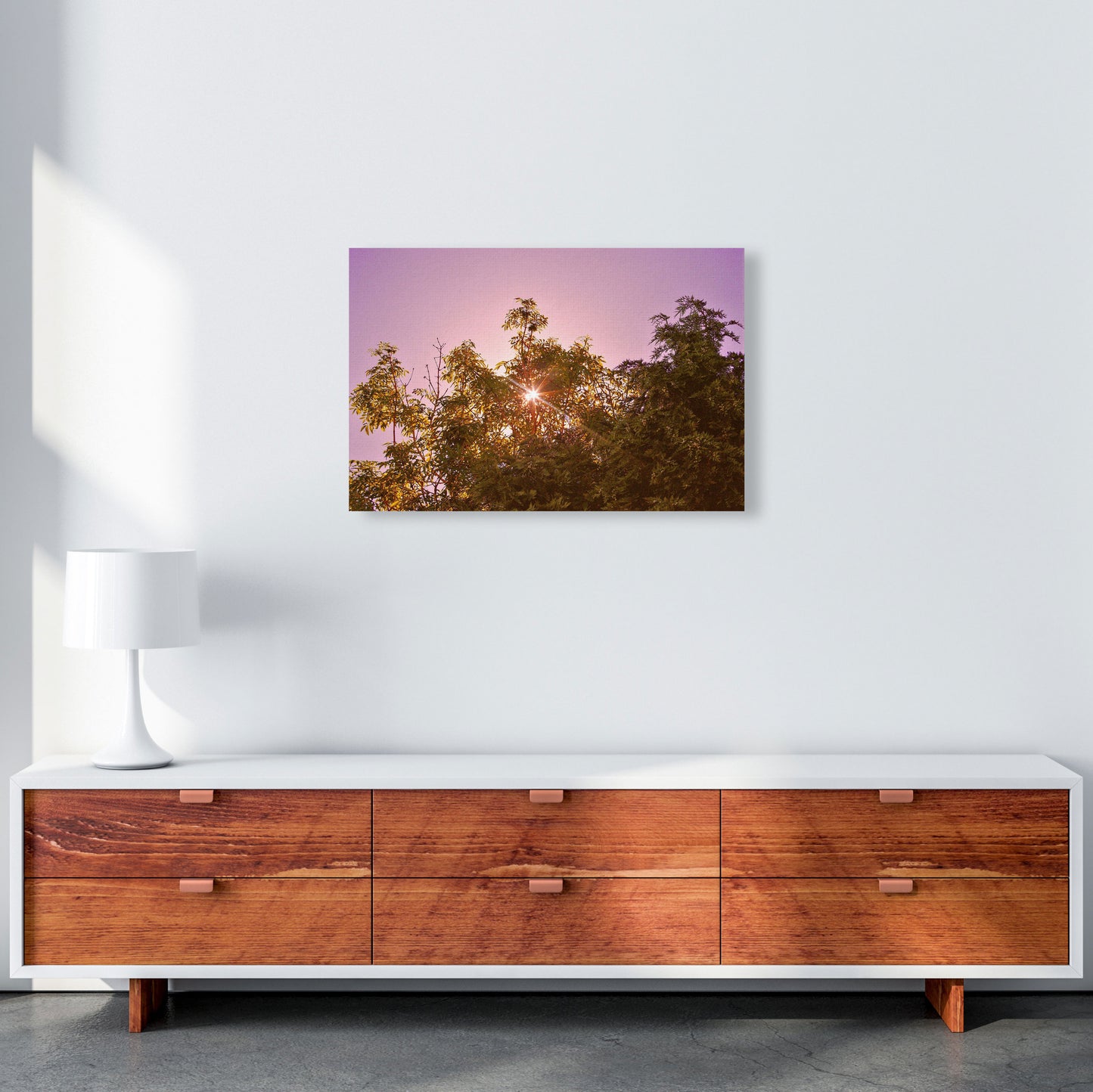 Blush Sunrise Art Print by Proper Job Studio A2 Canvas