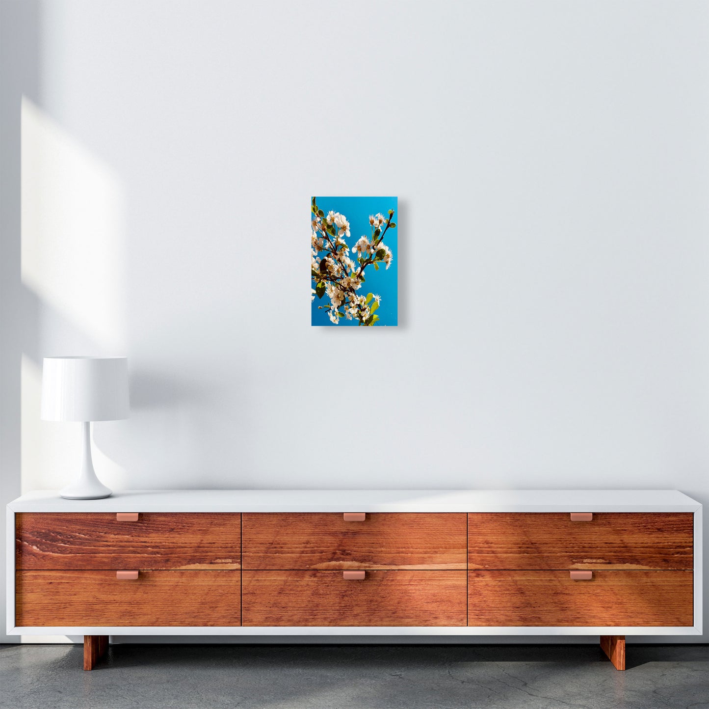 Under Cherry Blossom Art Print by Proper Job Studio A4 Canvas