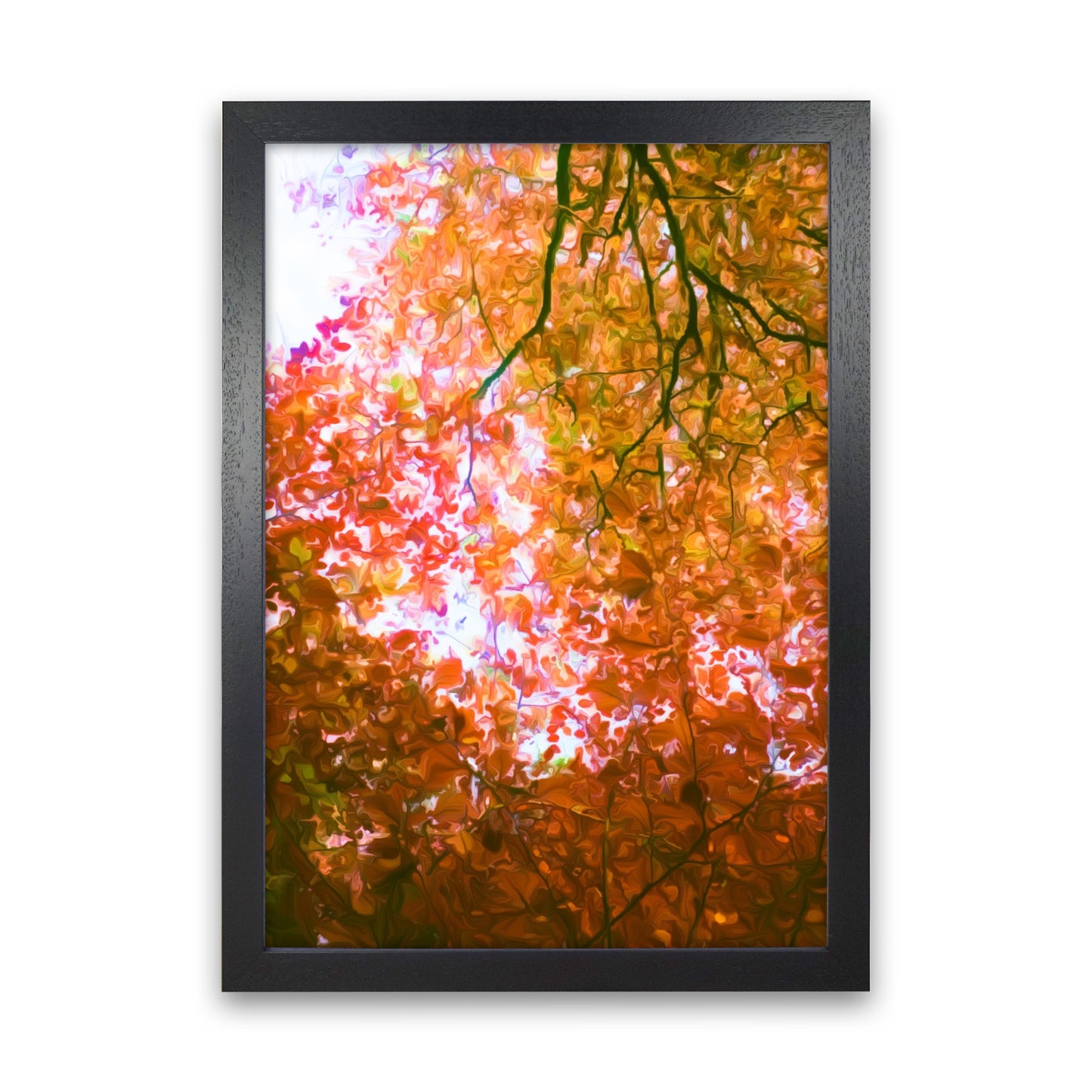 Autumn Leaves Black Grain