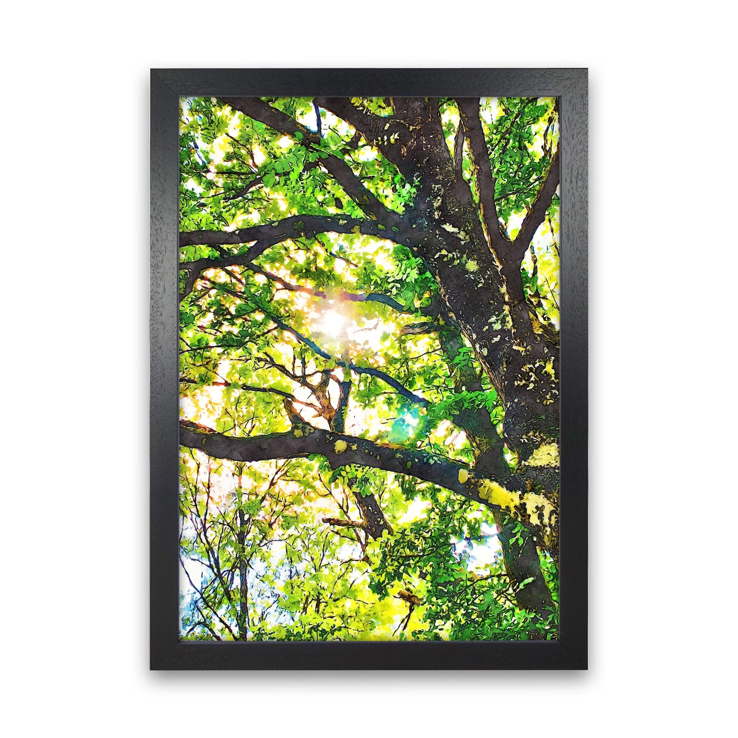 Sun through green leaves Black Grain