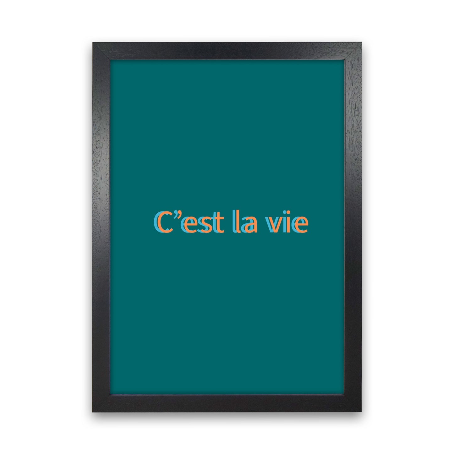 Cest la vie Art Print by Proper Job Studio Black Grain