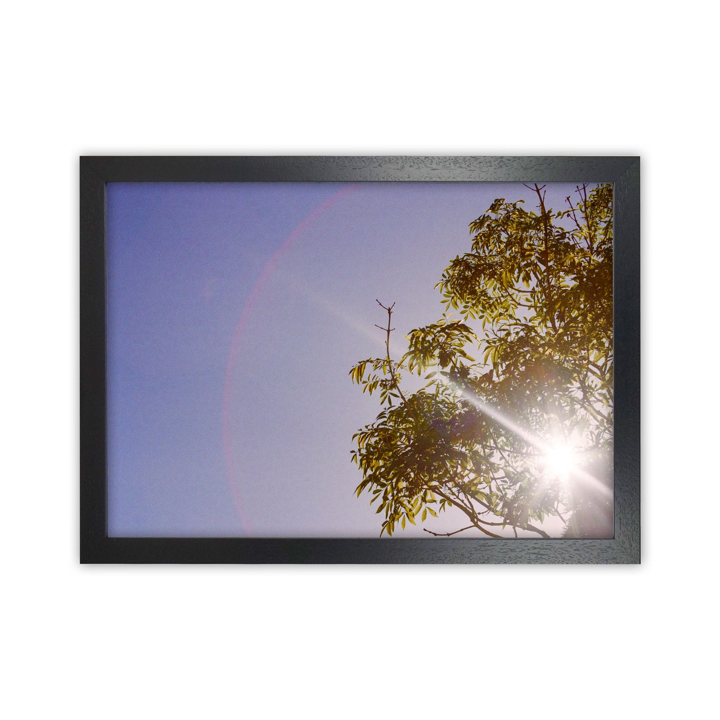 Summer haze Art Print by Proper Job Studio Black Grain