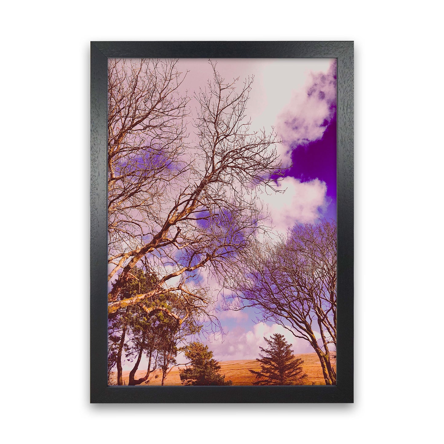 Pink Dartmoor Art Print by Proper Job Studio Black Grain