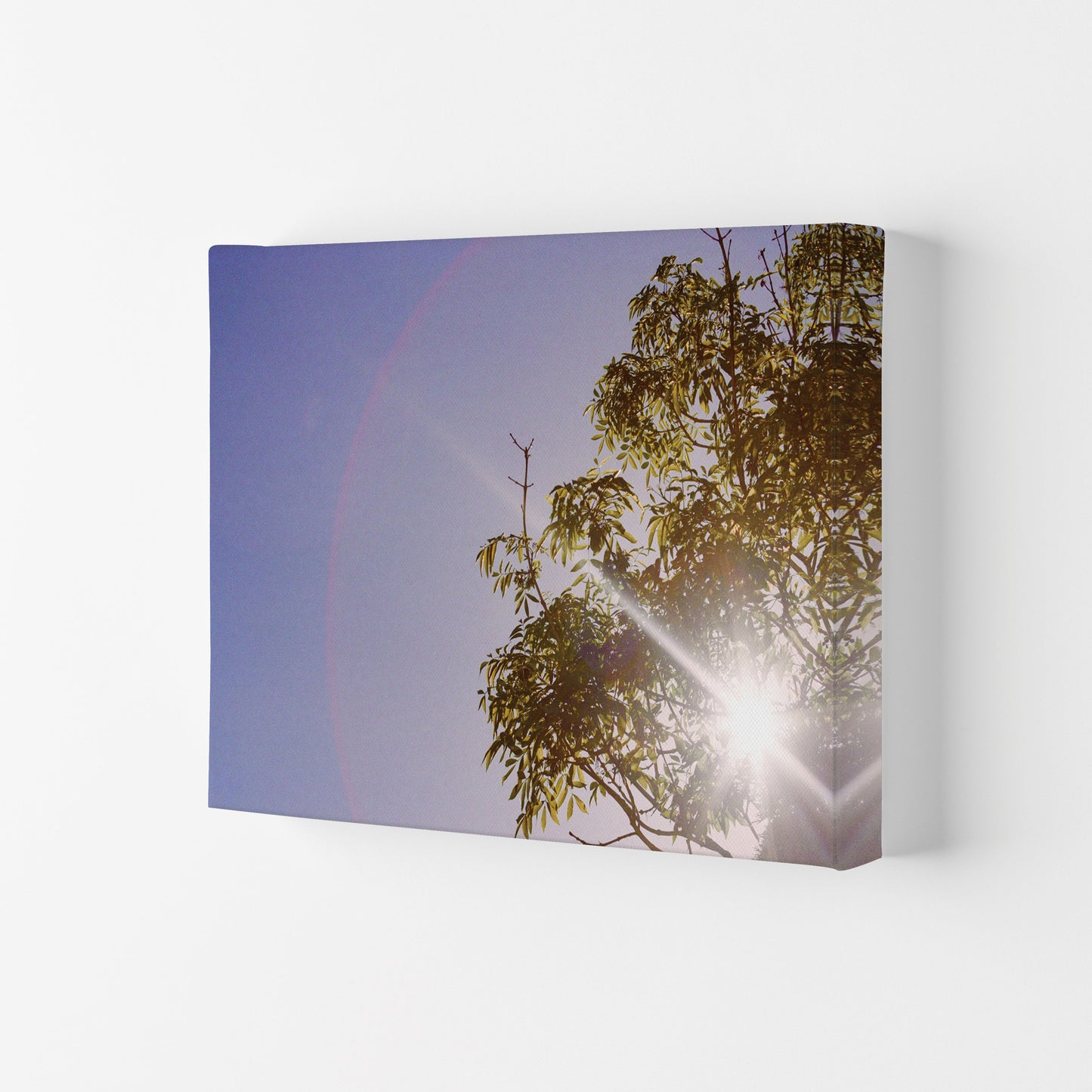 Summer haze Art Print by Proper Job Studio Canvas