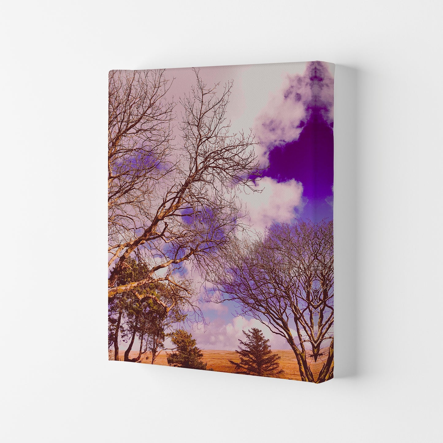 Pink Dartmoor Art Print by Proper Job Studio Canvas