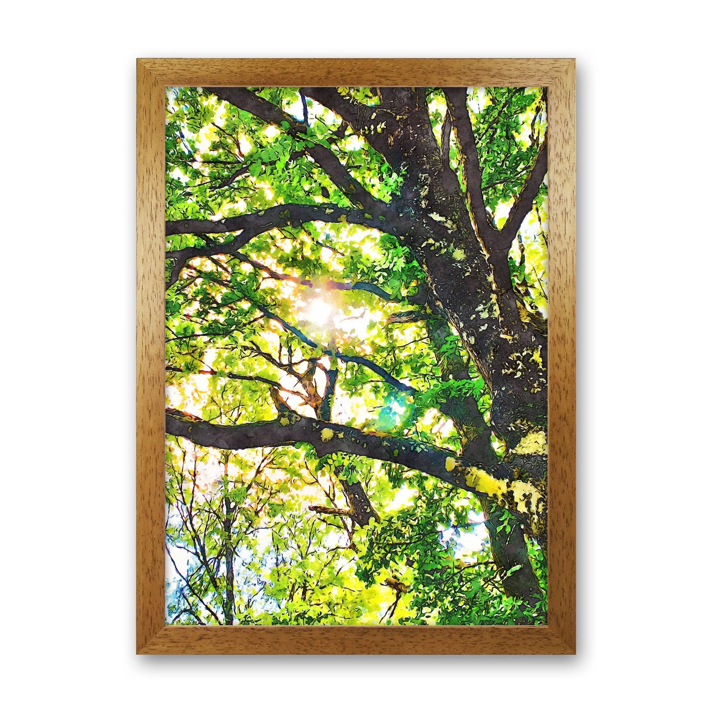Sun through green leaves Oak Grain
