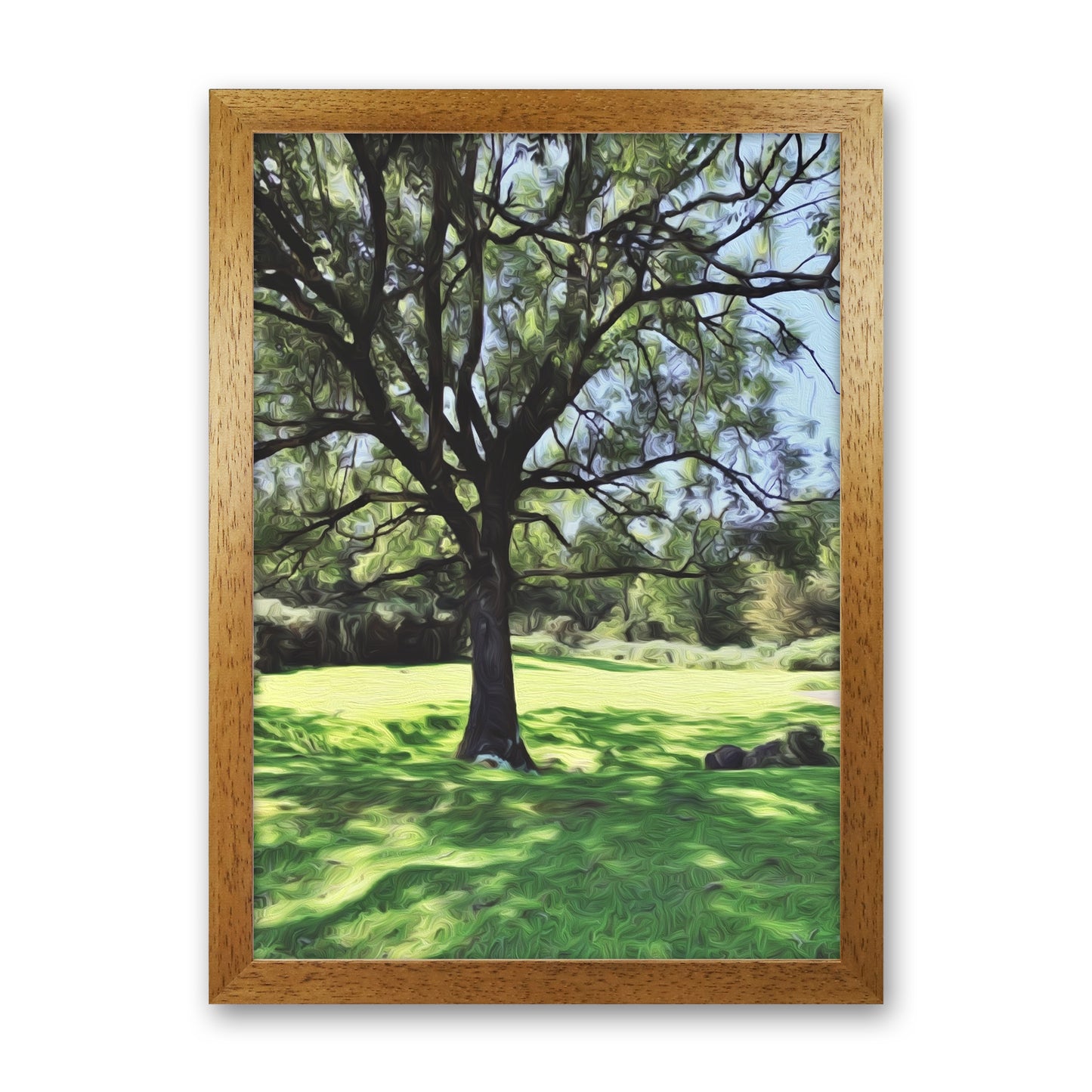 Tree Oak Grain