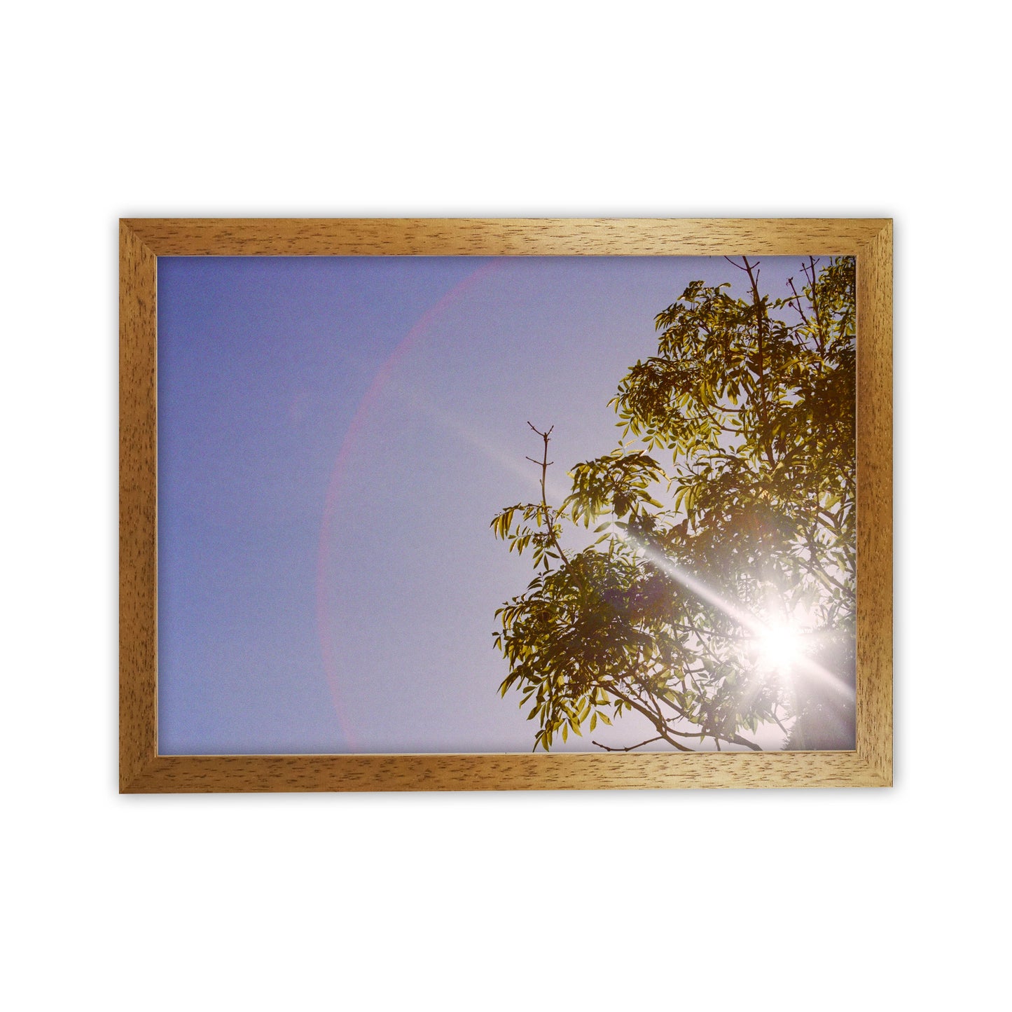 Summer haze Art Print by Proper Job Studio Oak Grain