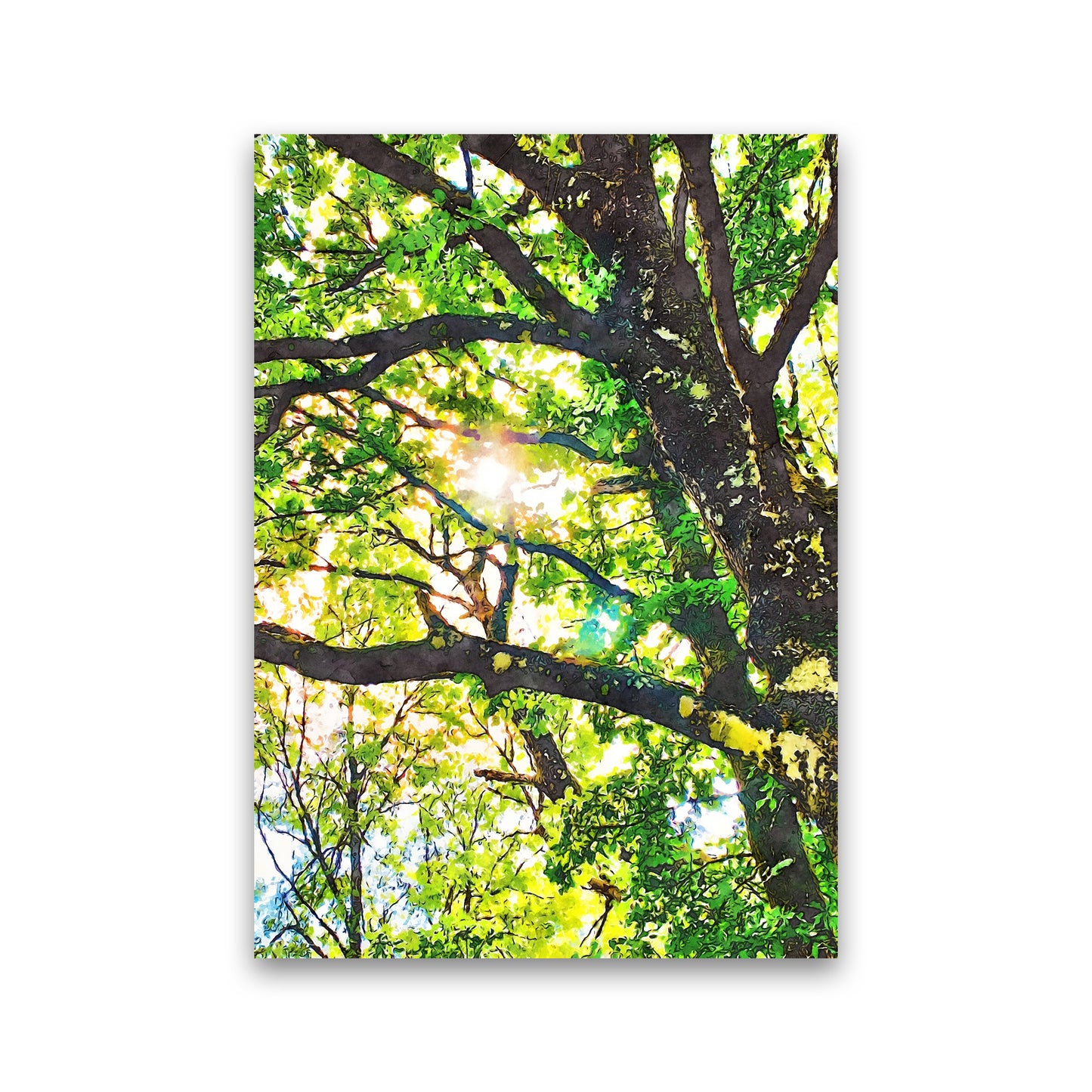 Sun through green leaves Print Only