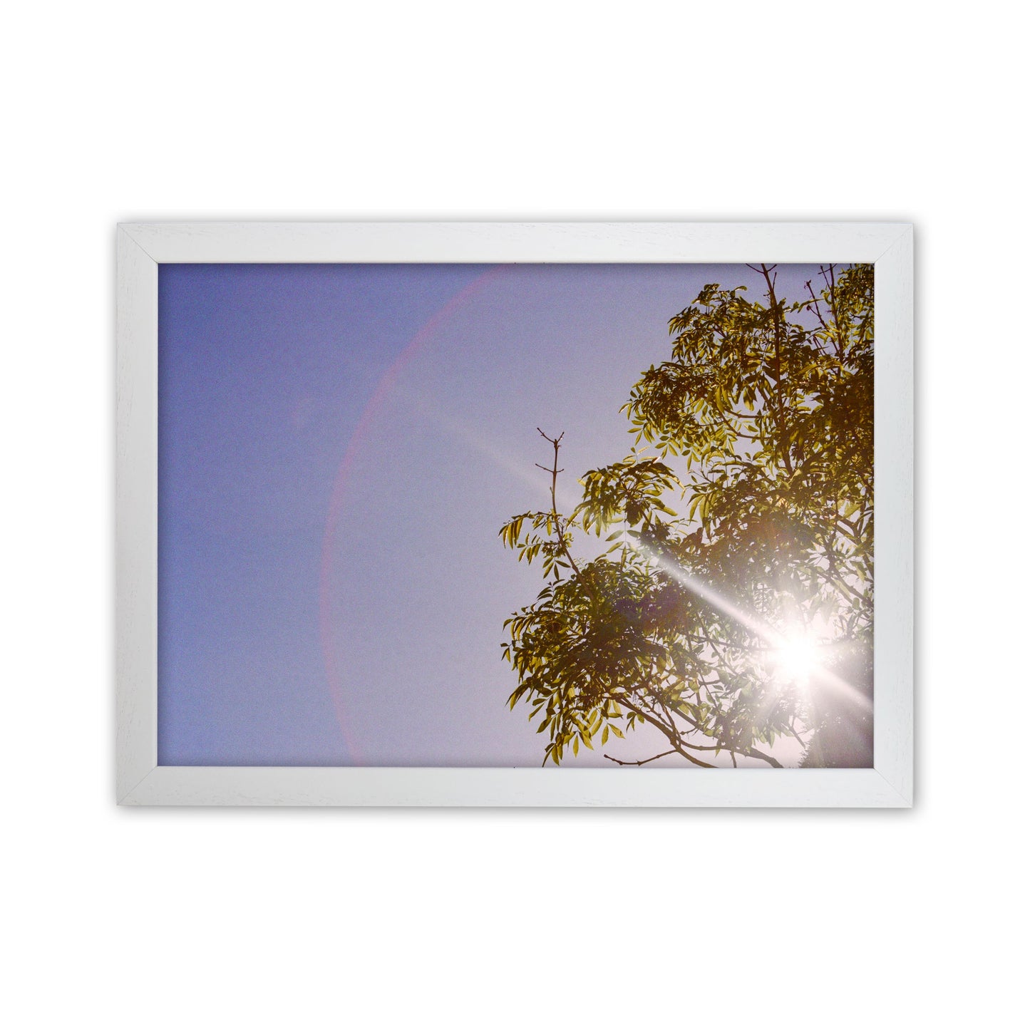 Summer haze Art Print by Proper Job Studio White Grain