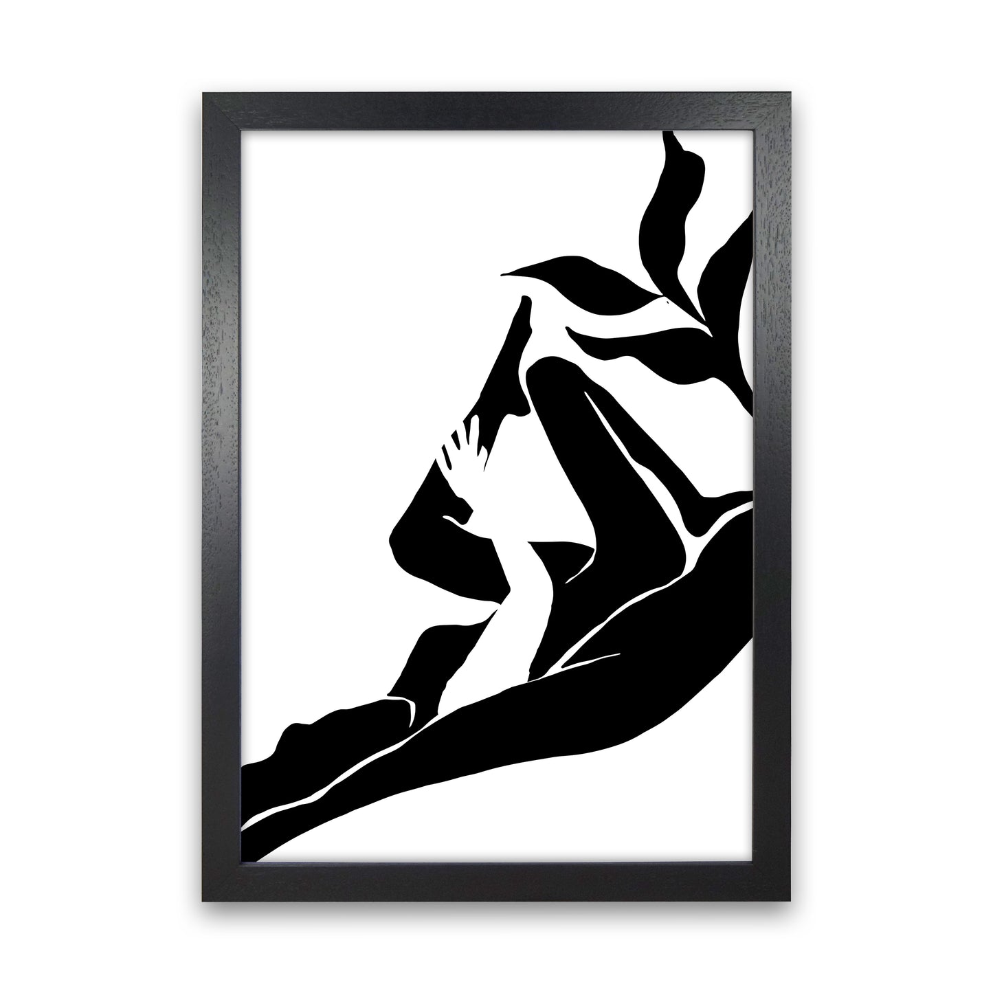 Matisse Lying Plant By Planeta444 Black Grain