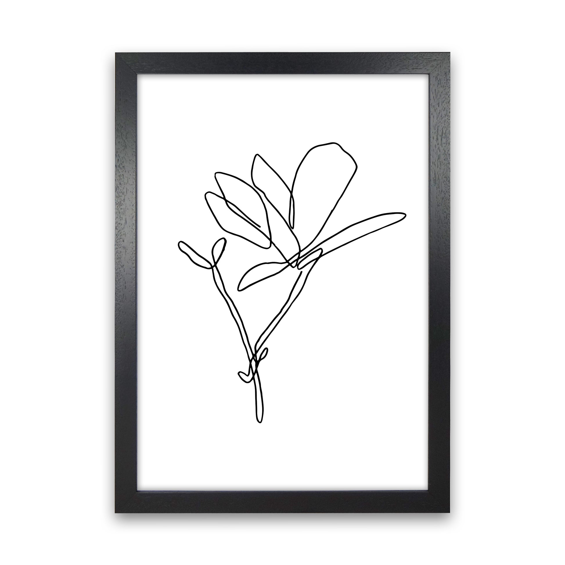 Japanese Magnolia By Planeta444 Black Grain