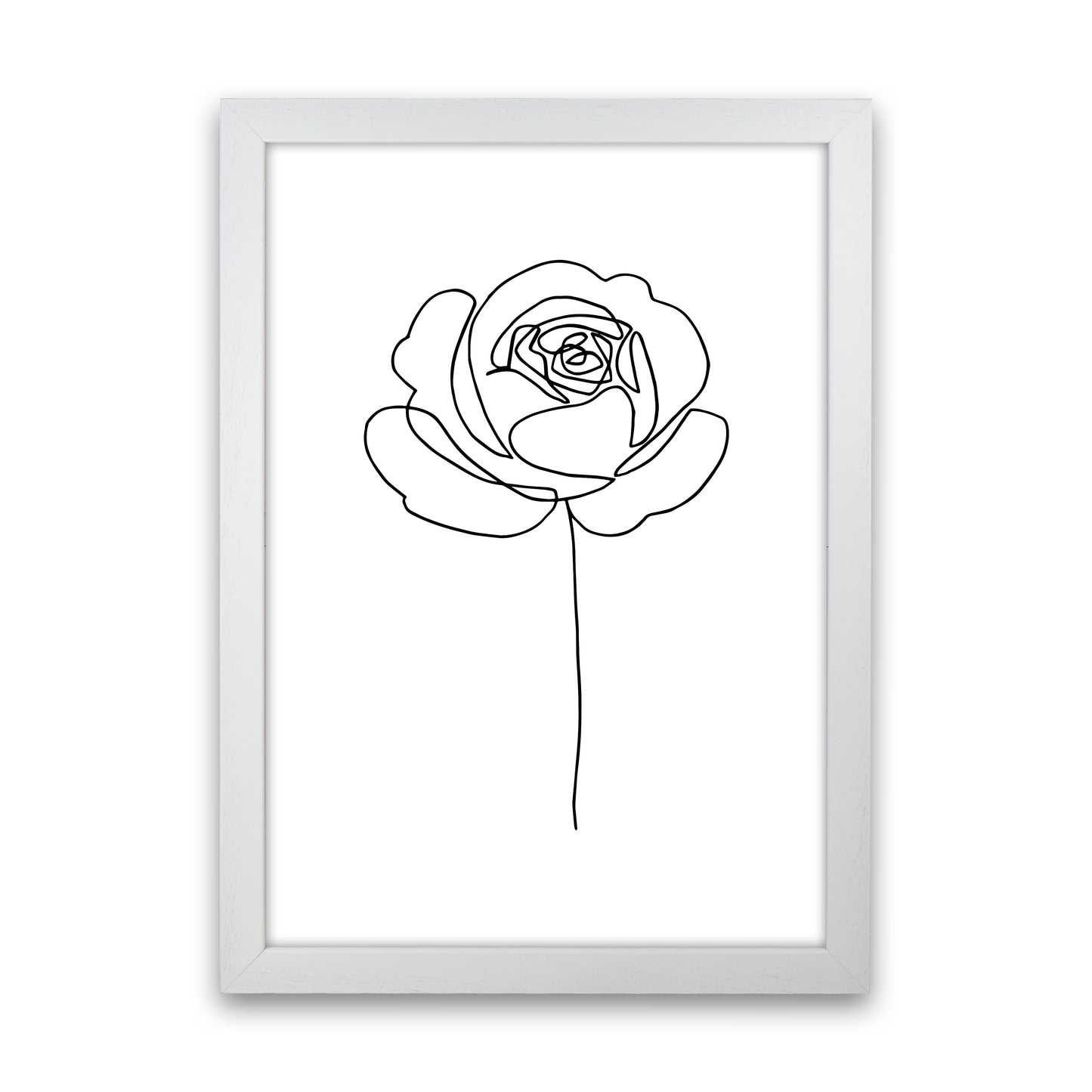Rose1 By Planeta444 White Grain