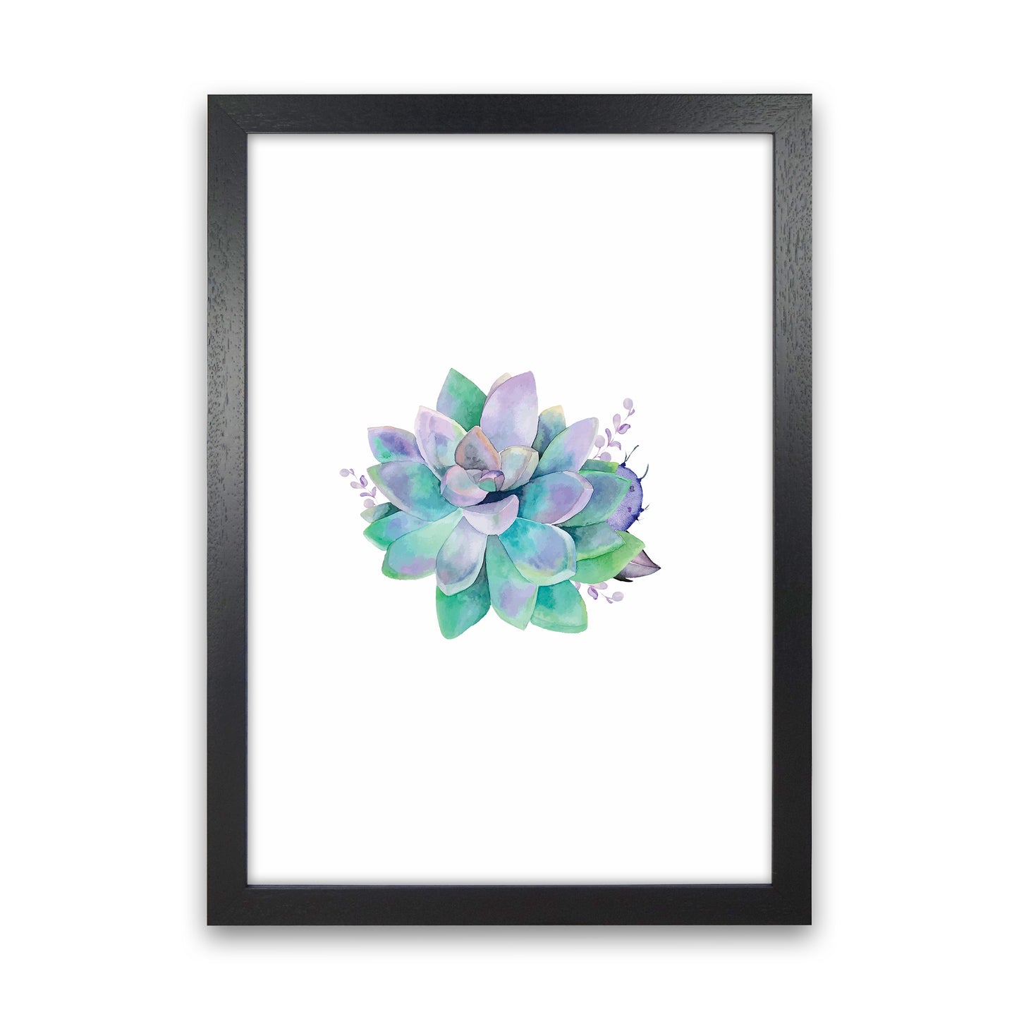 Aqua Succulent Botanical Art Print by Seven Trees Design Black Grain