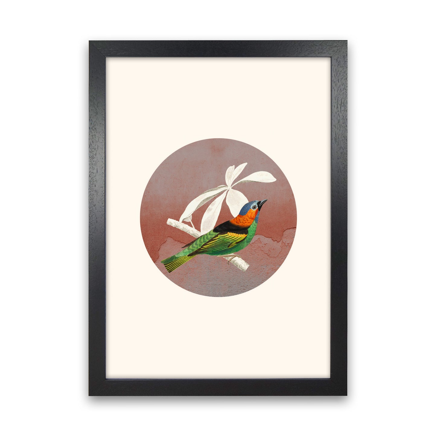 Bird Collage II Art Print by Seven Trees Design Black Grain