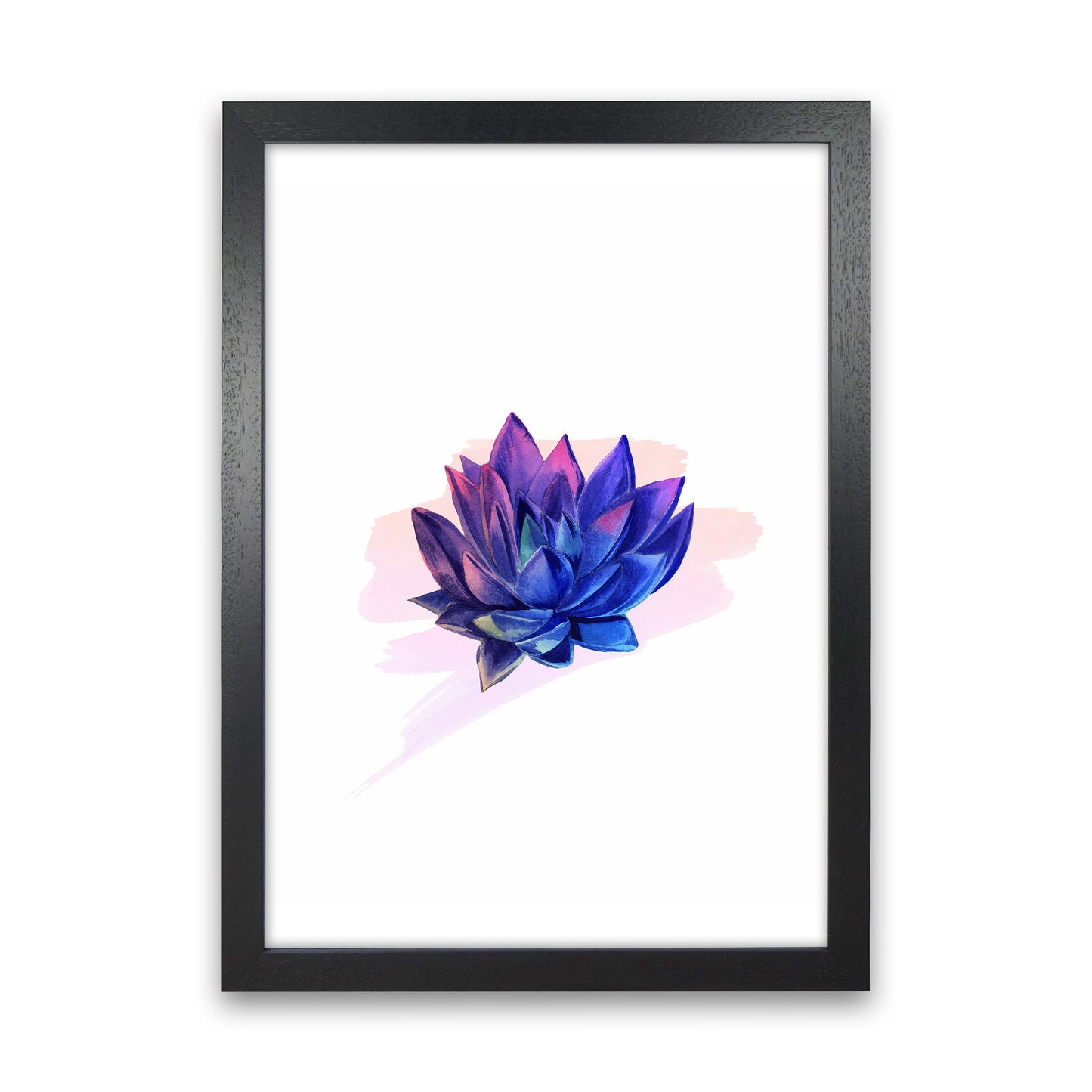 The Modern Succulent Art Print by Seven Trees Design Black Grain