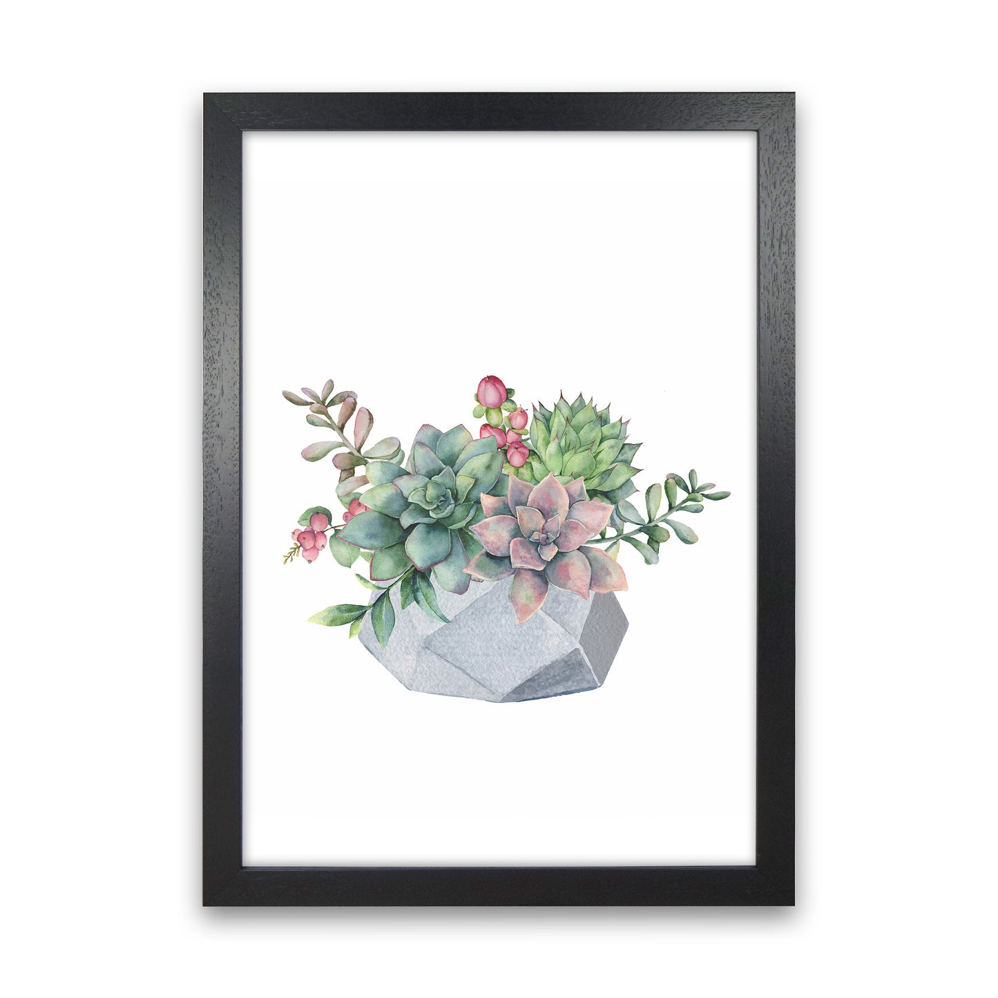 The Watercolor Succulents Art Print by Seven Trees Design Black Grain