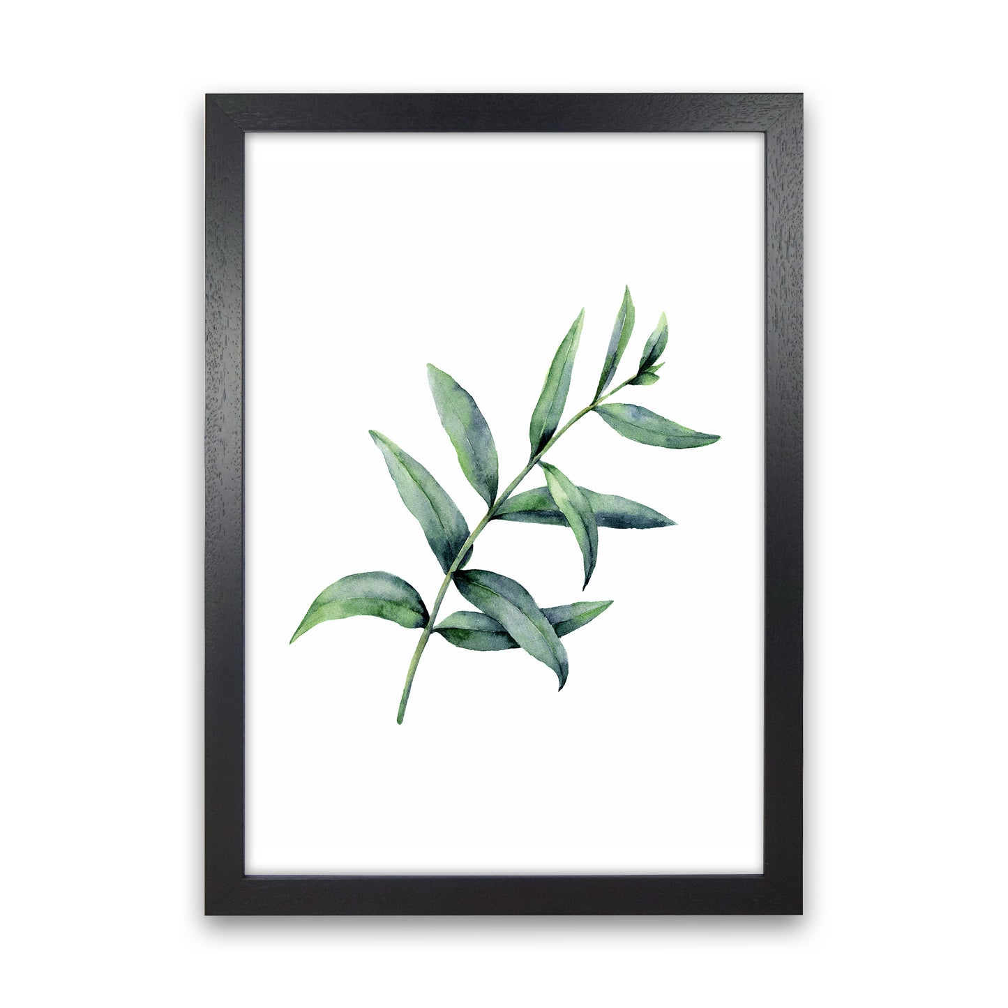 Watercolor Eucalyptus I Art Print by Seven Trees Design Black Grain