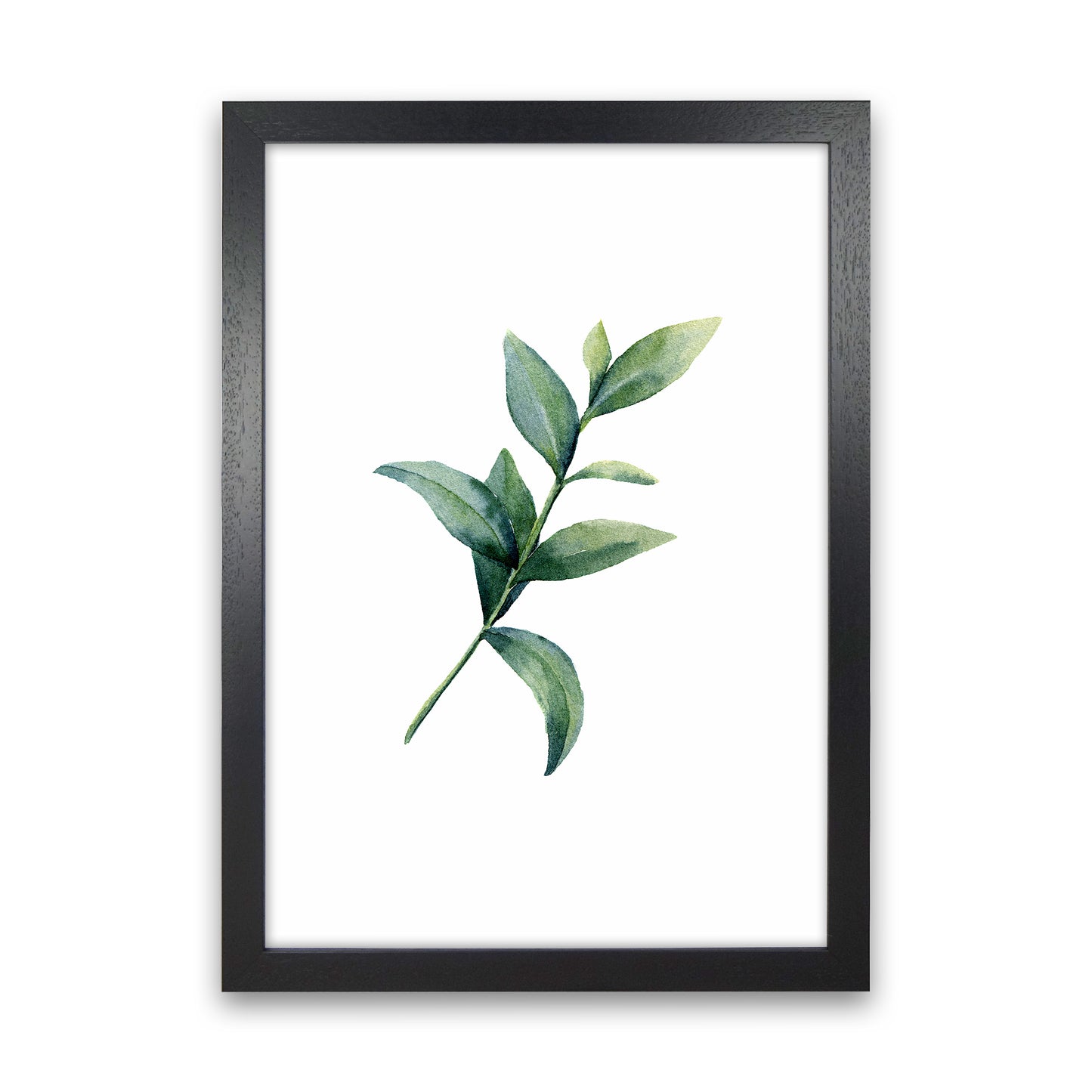 Watercolor Eucalyptus II Art Print by Seven Trees Design Black Grain