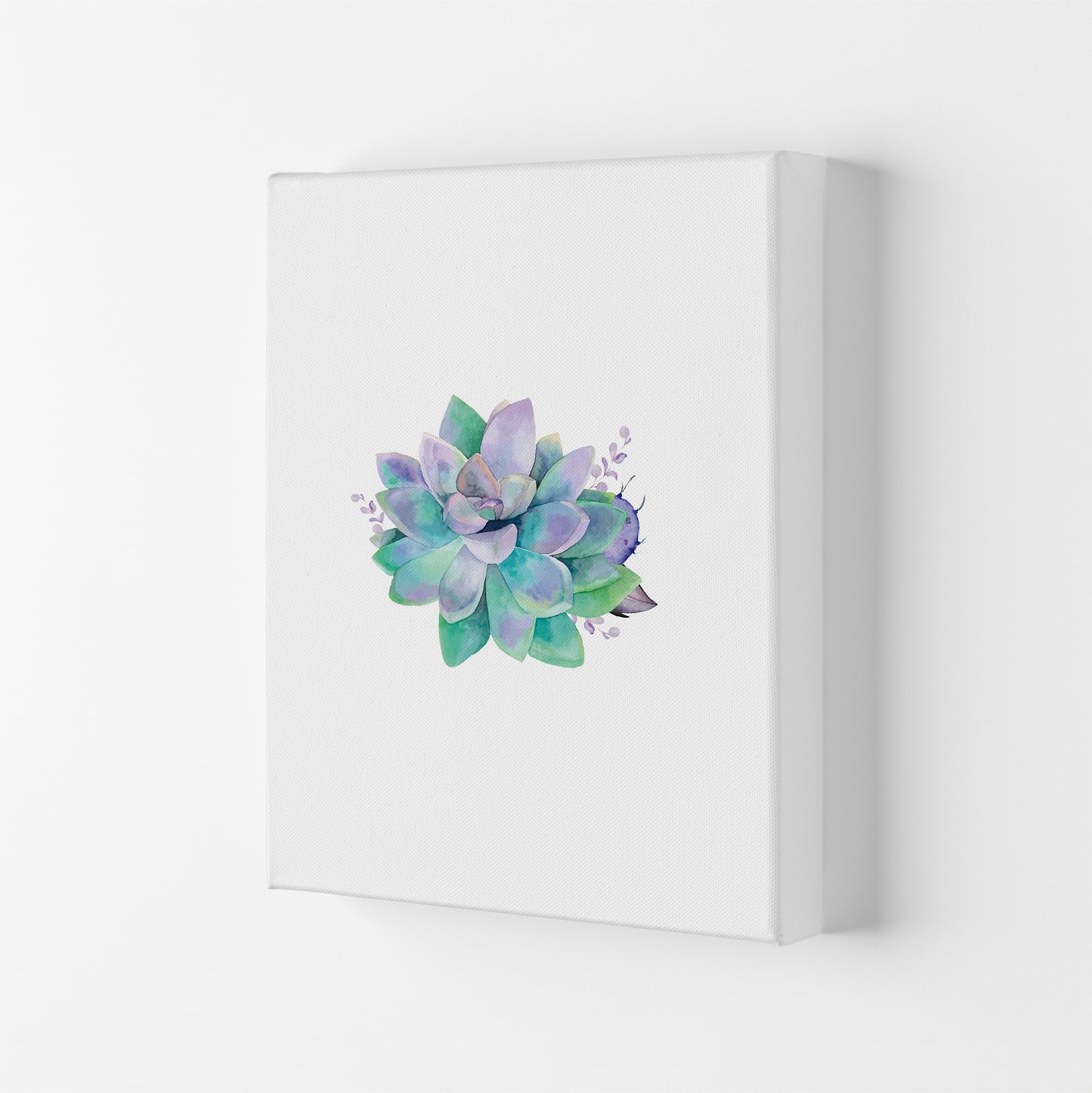 Aqua Succulent Botanical Art Print by Seven Trees Design Canvas