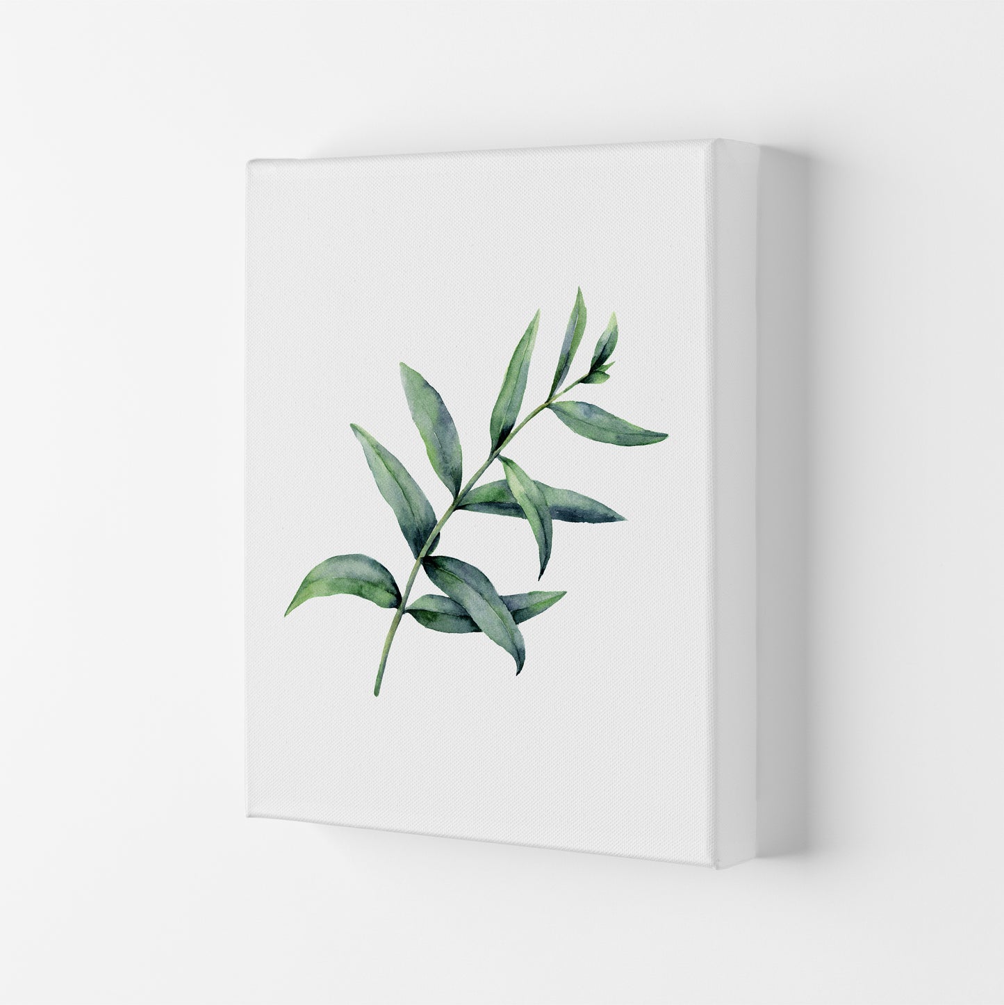 Watercolor Eucalyptus I Art Print by Seven Trees Design Canvas