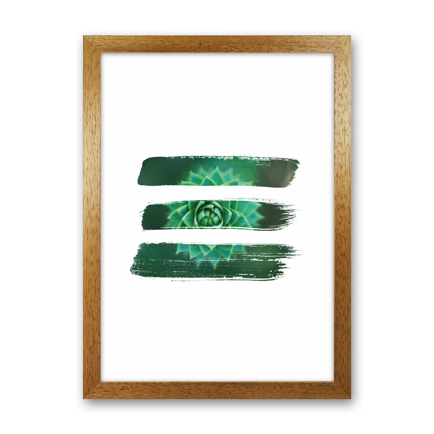 Modern Succulent I Art Print by Seven Trees Design Oak Grain