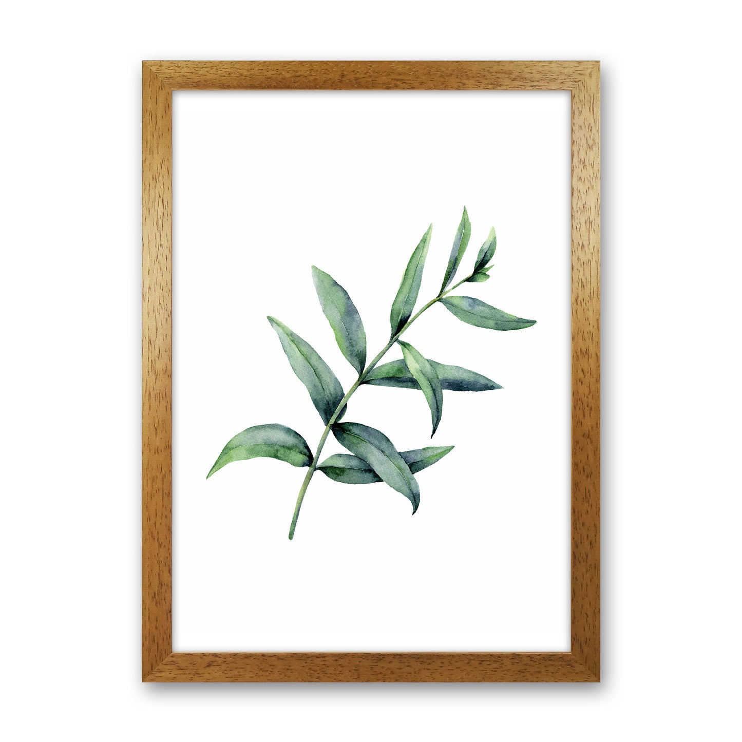 Watercolor Eucalyptus I Art Print by Seven Trees Design Oak Grain